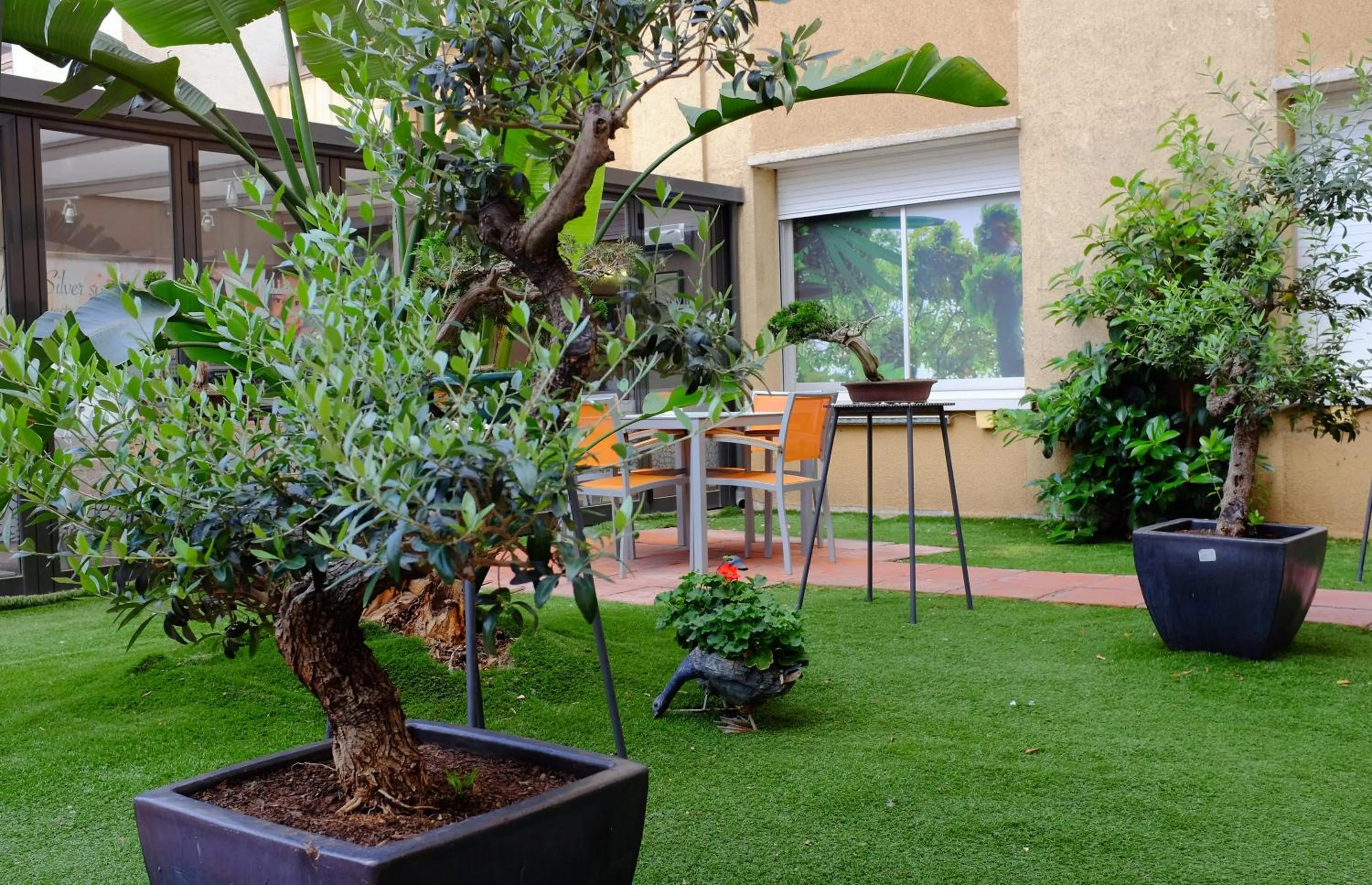 Garden in Aparthotel Silver