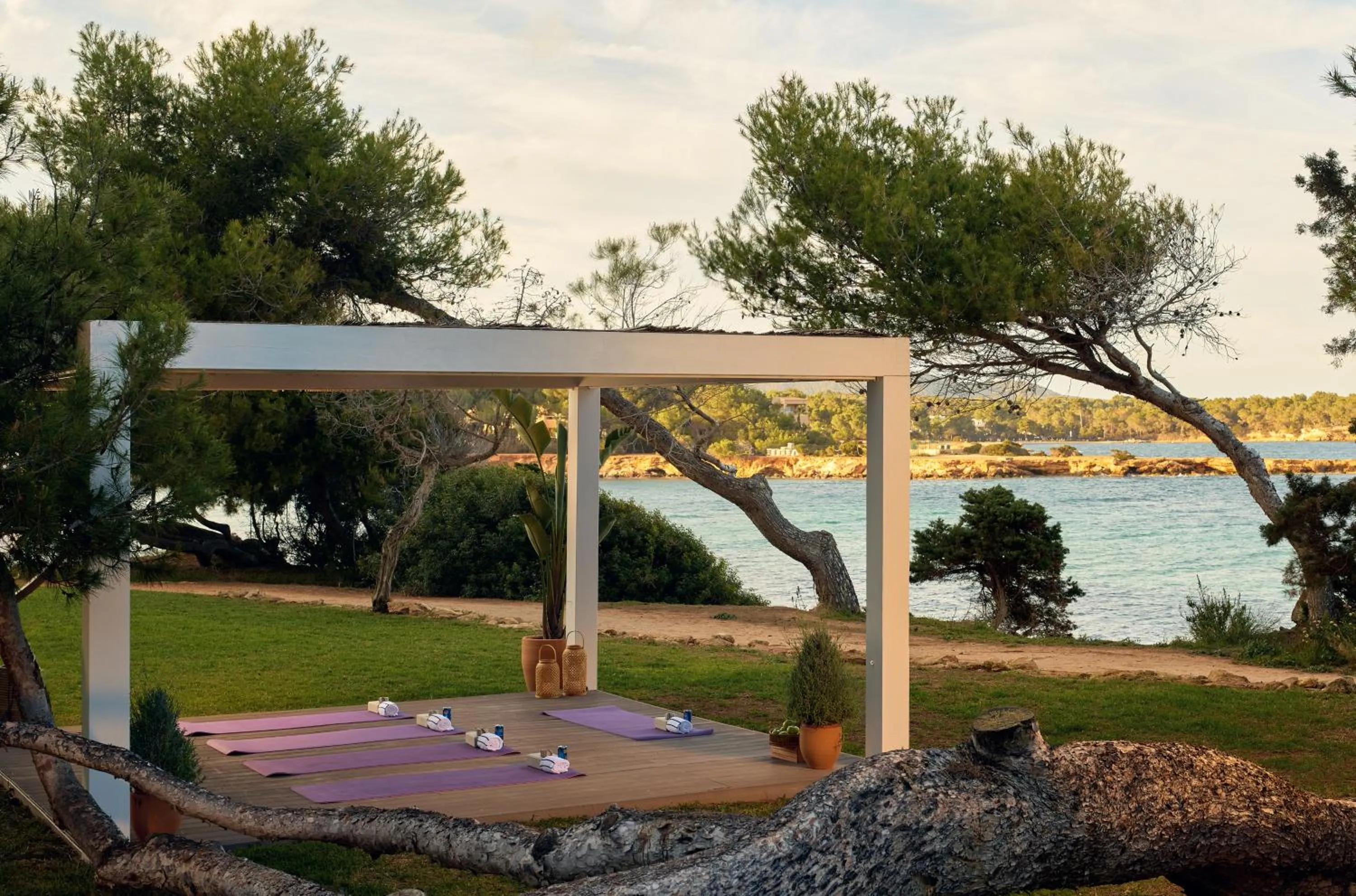 Garden in Melia Ibiza - Adults Only