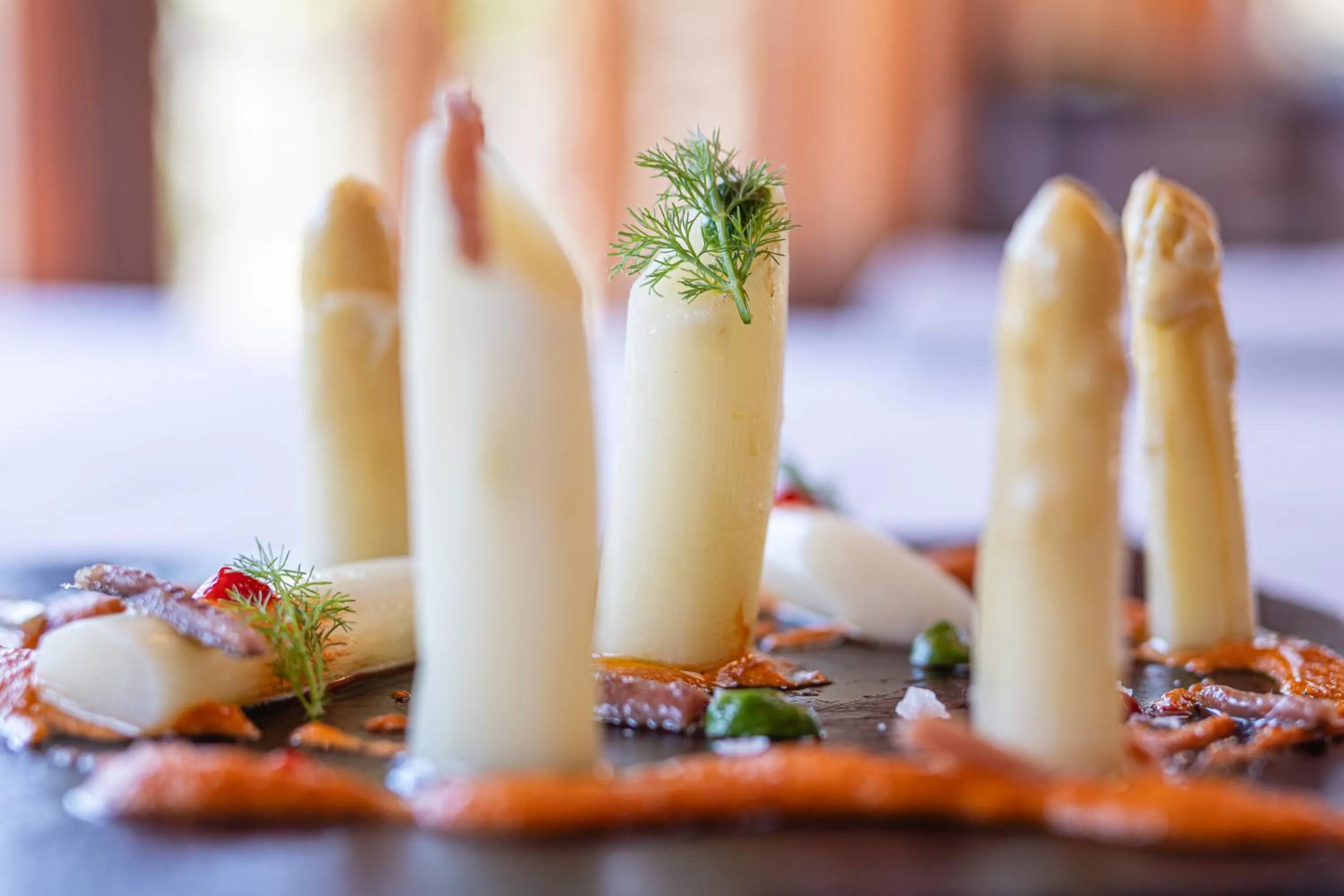 Food in Hotel & Spa Etxegana