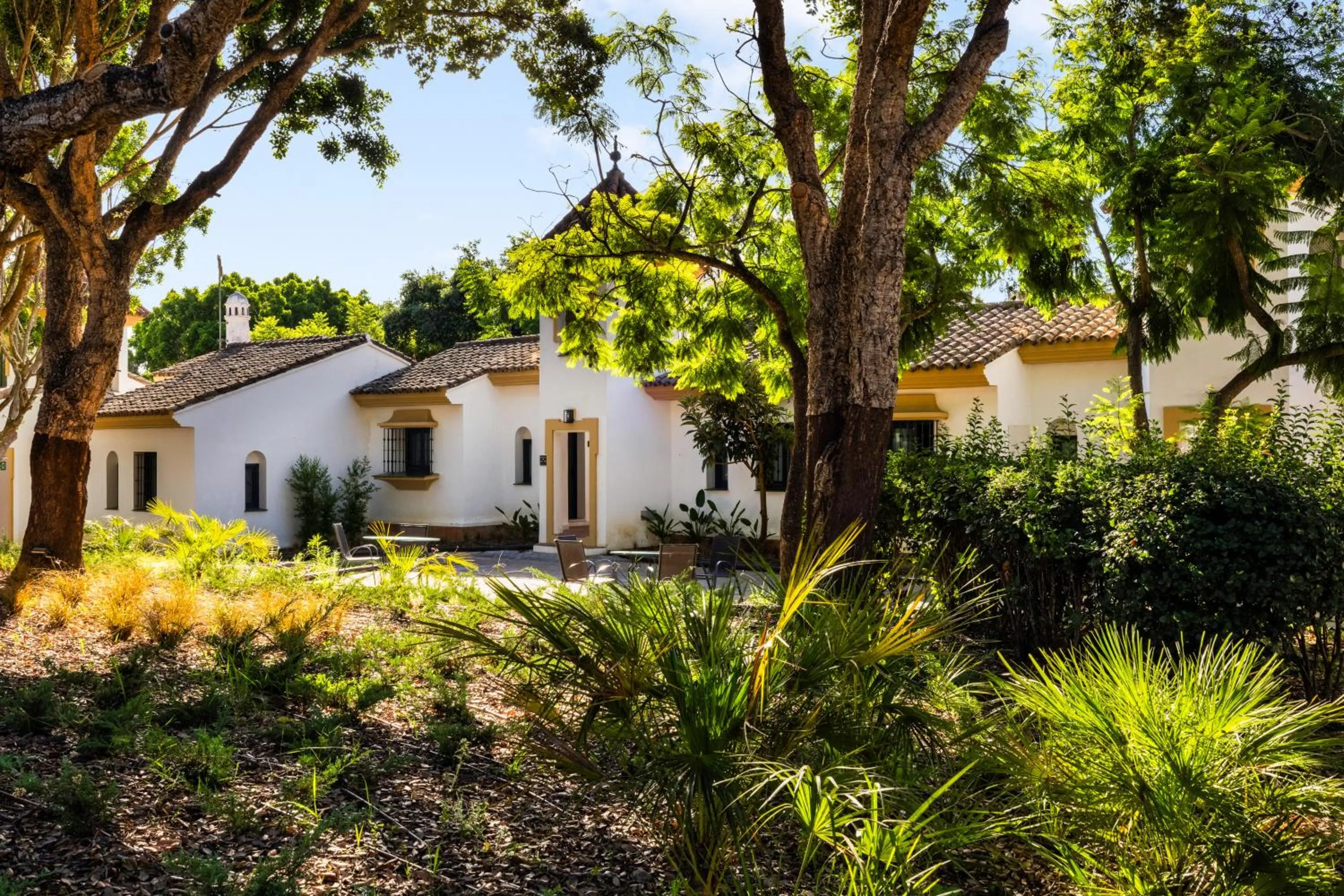 Natural landscape in Hotel Inmood San Roque