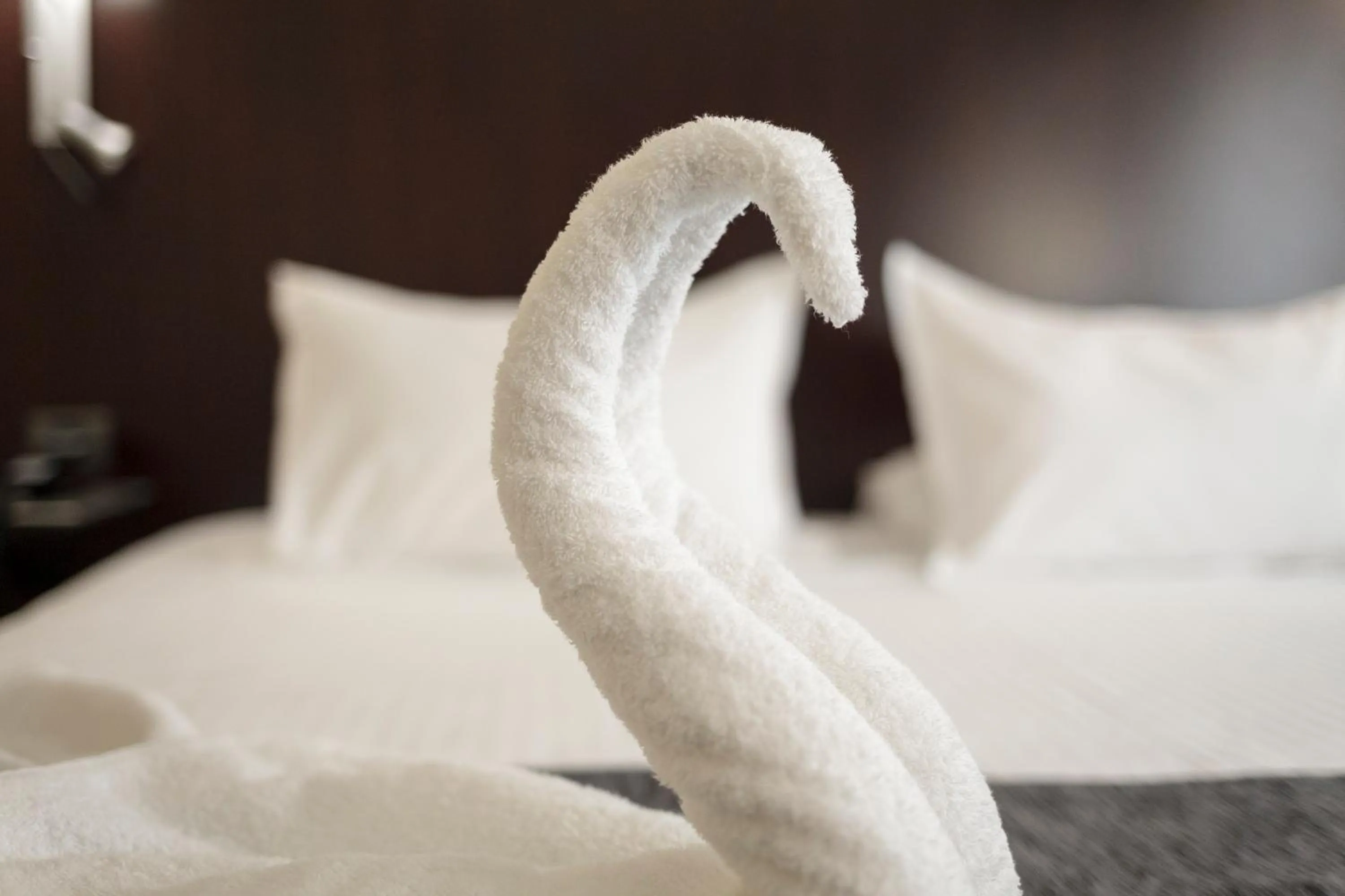 Decorative detail, Bed in Hotel Salymar