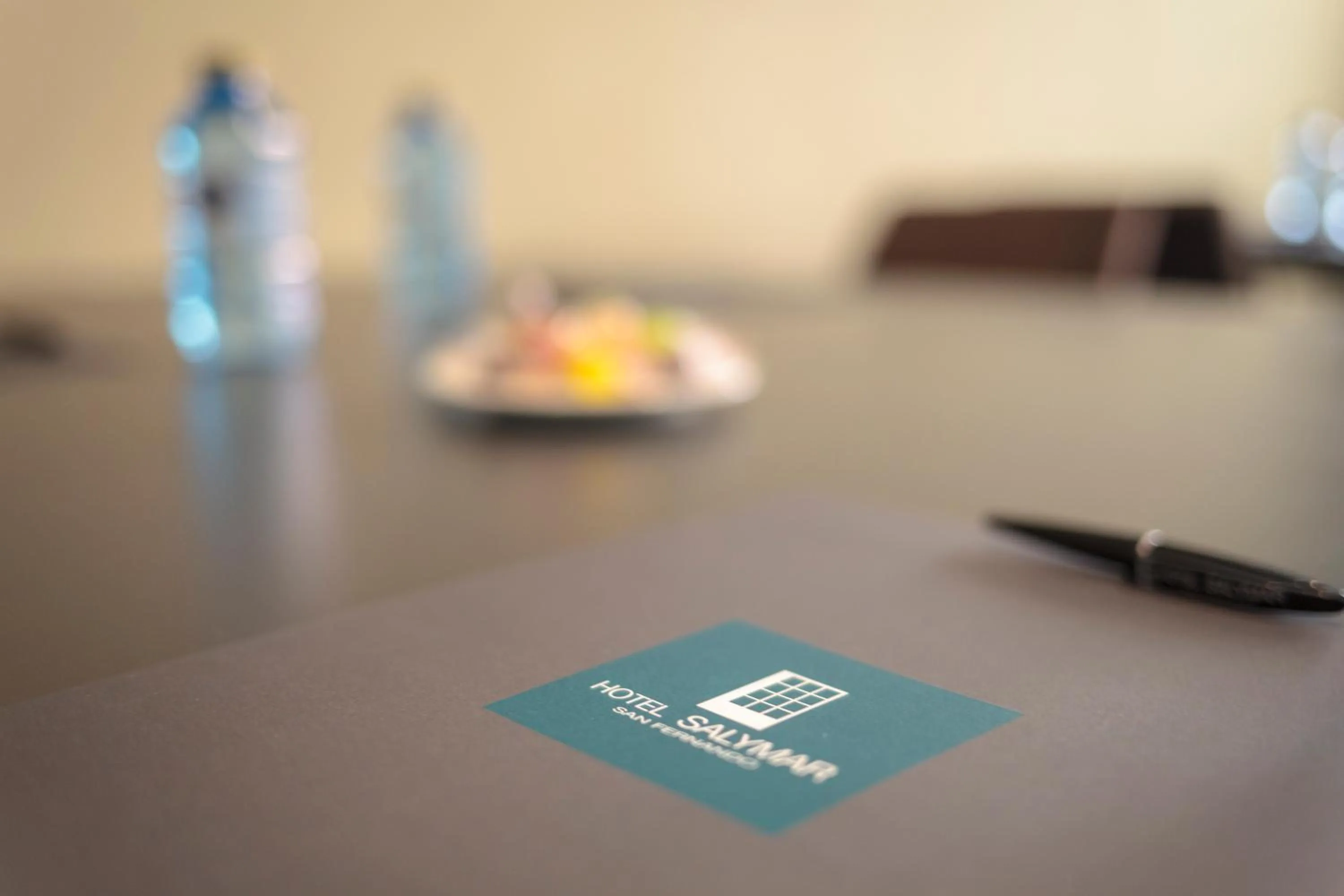 Meeting/conference room in Hotel Salymar