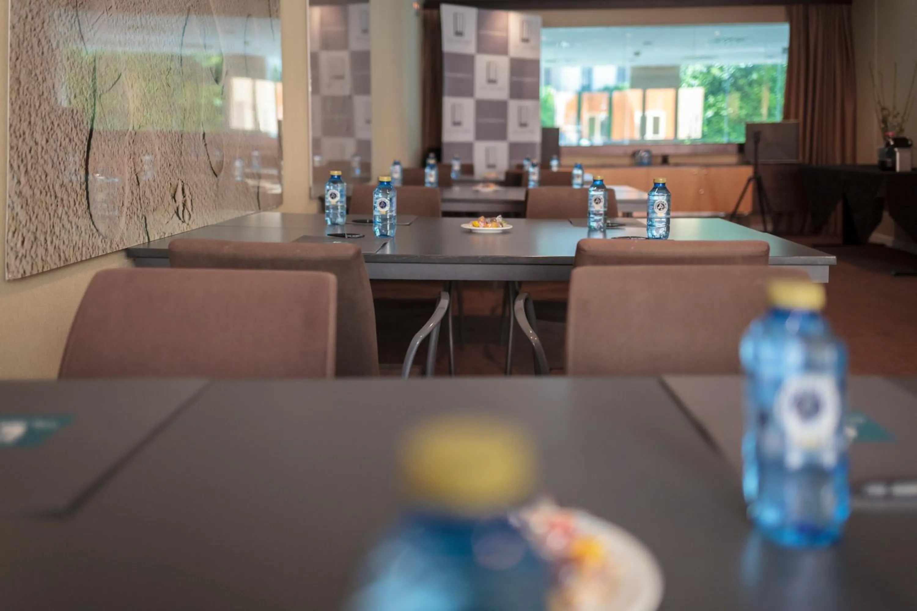 Meeting/conference room in Hotel Salymar