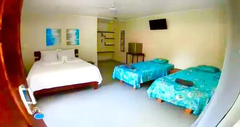 Double or Twin Room in El Sueno Tropical Double or Twin Room in El Sueno Tropical