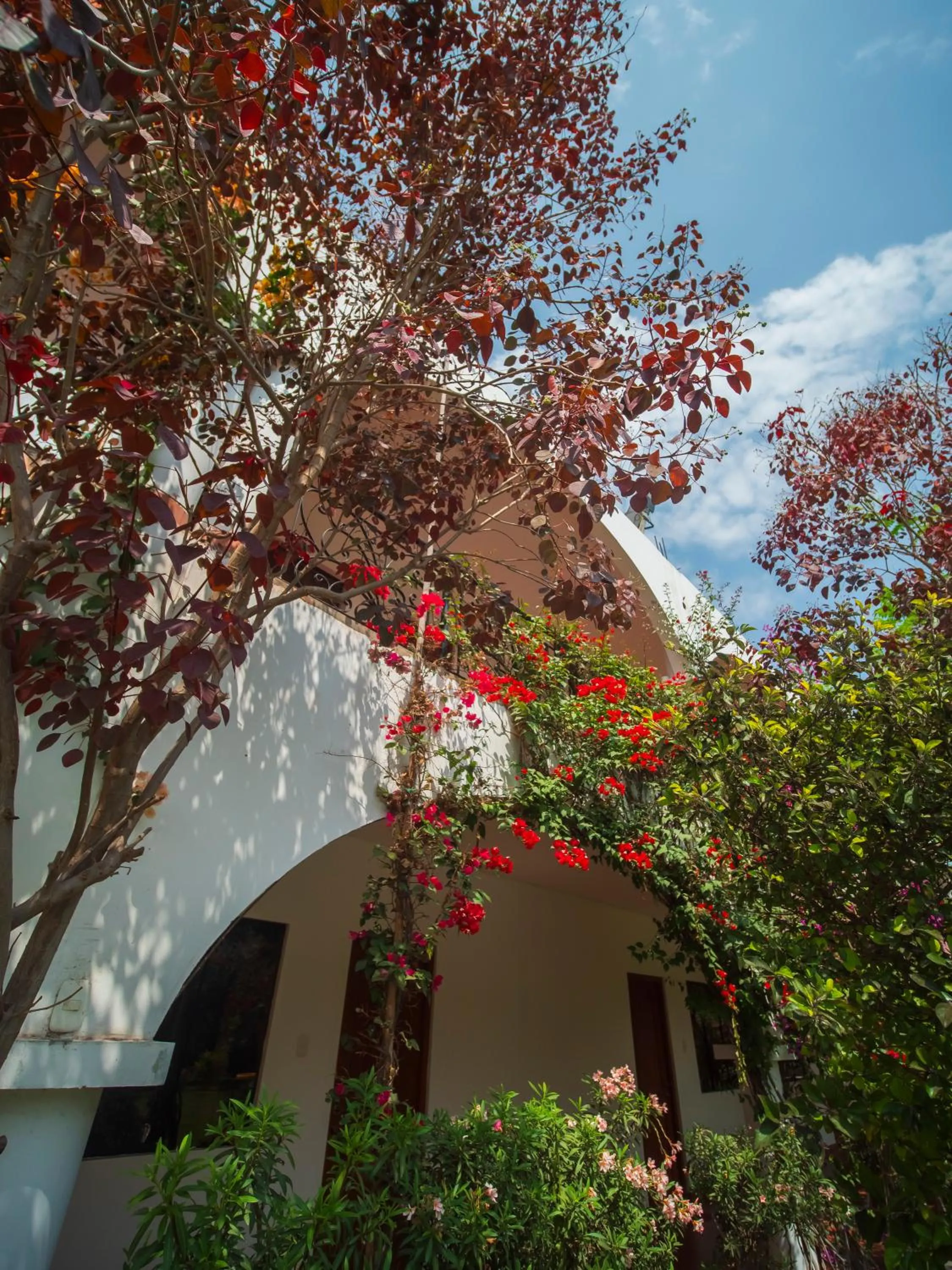 Balcony/Terrace in Casa Hotel Mamaluna