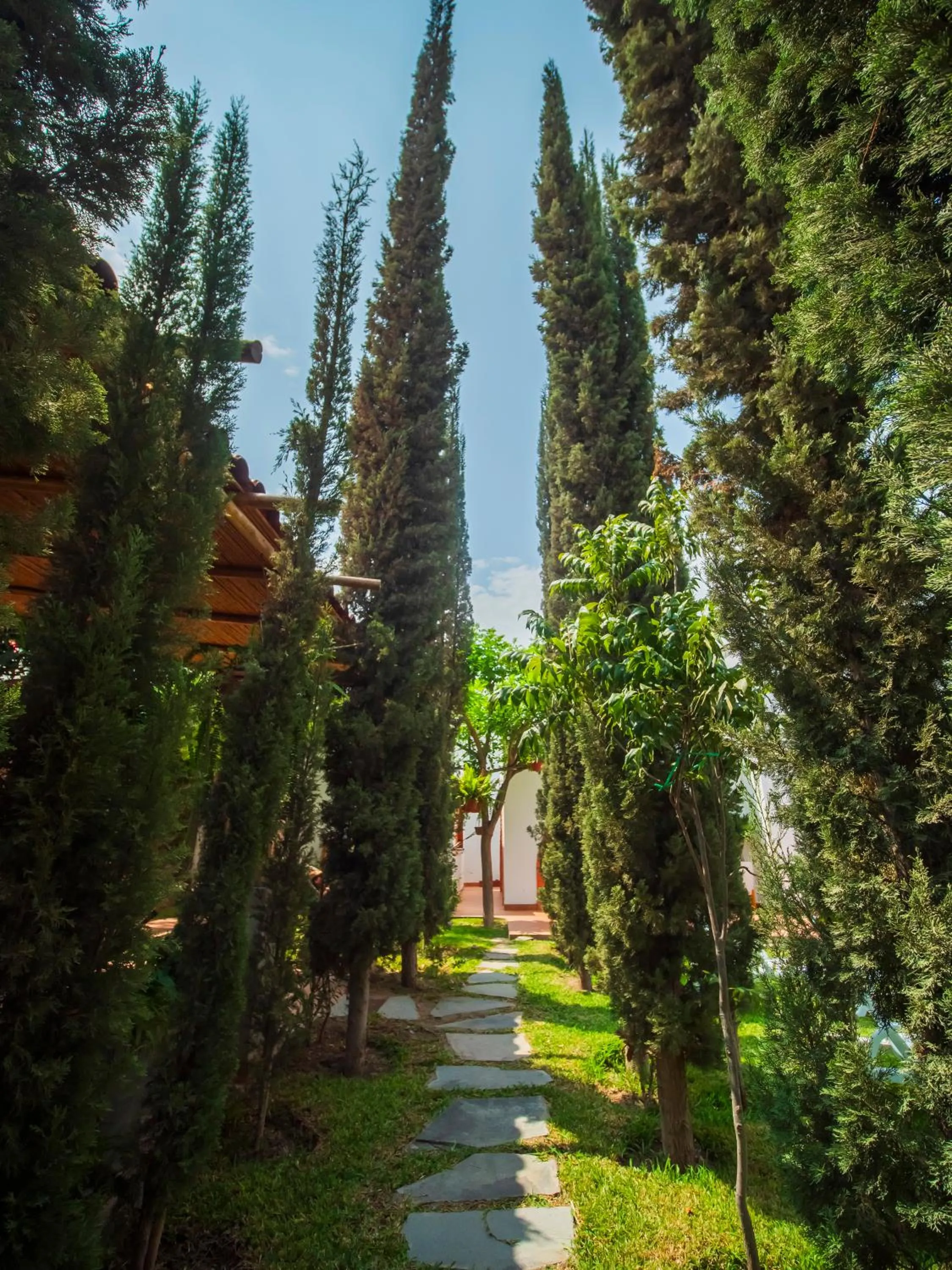 Garden in Casa Hotel Mamaluna