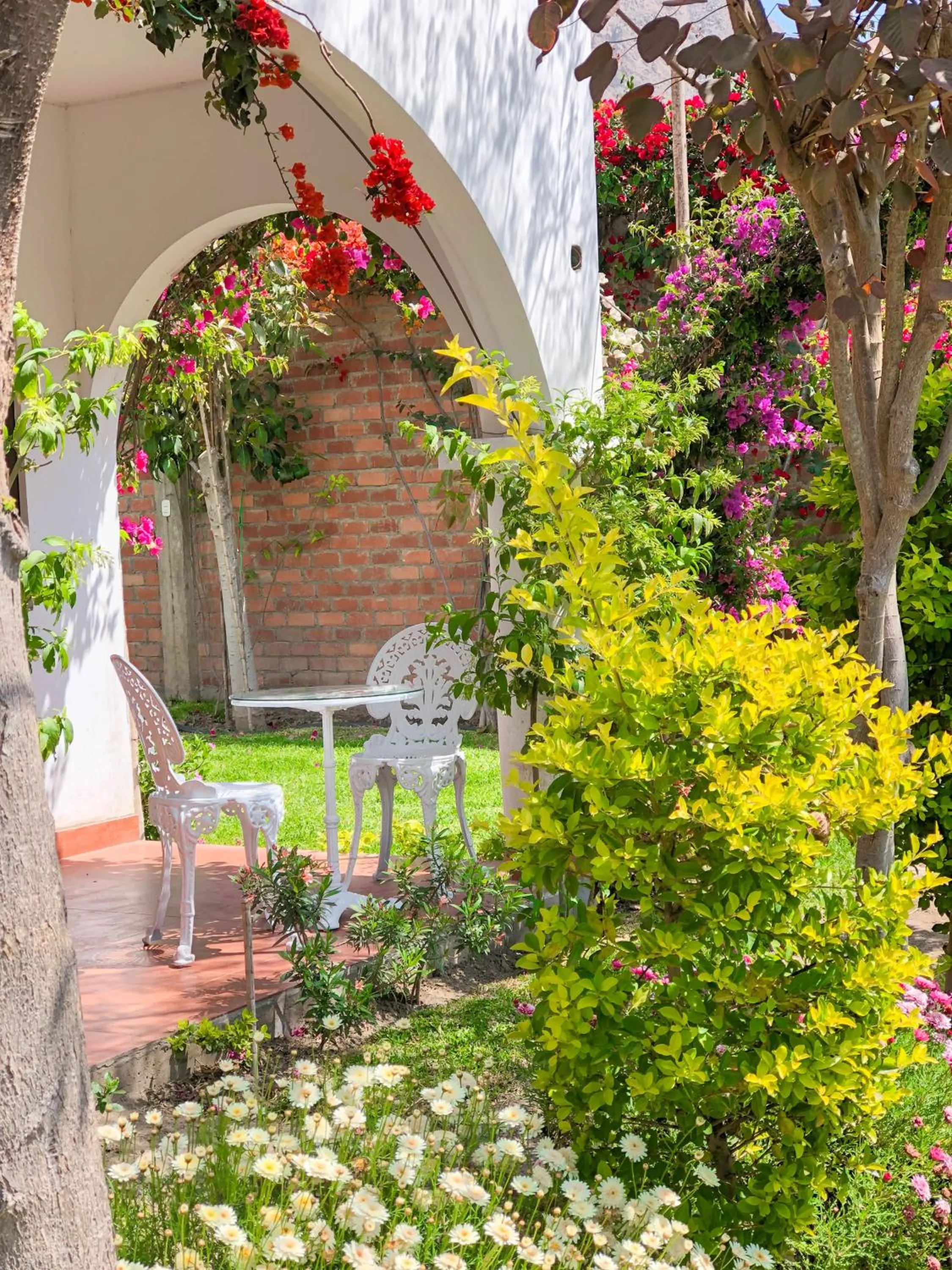 Balcony/Terrace in Casa Hotel Mamaluna