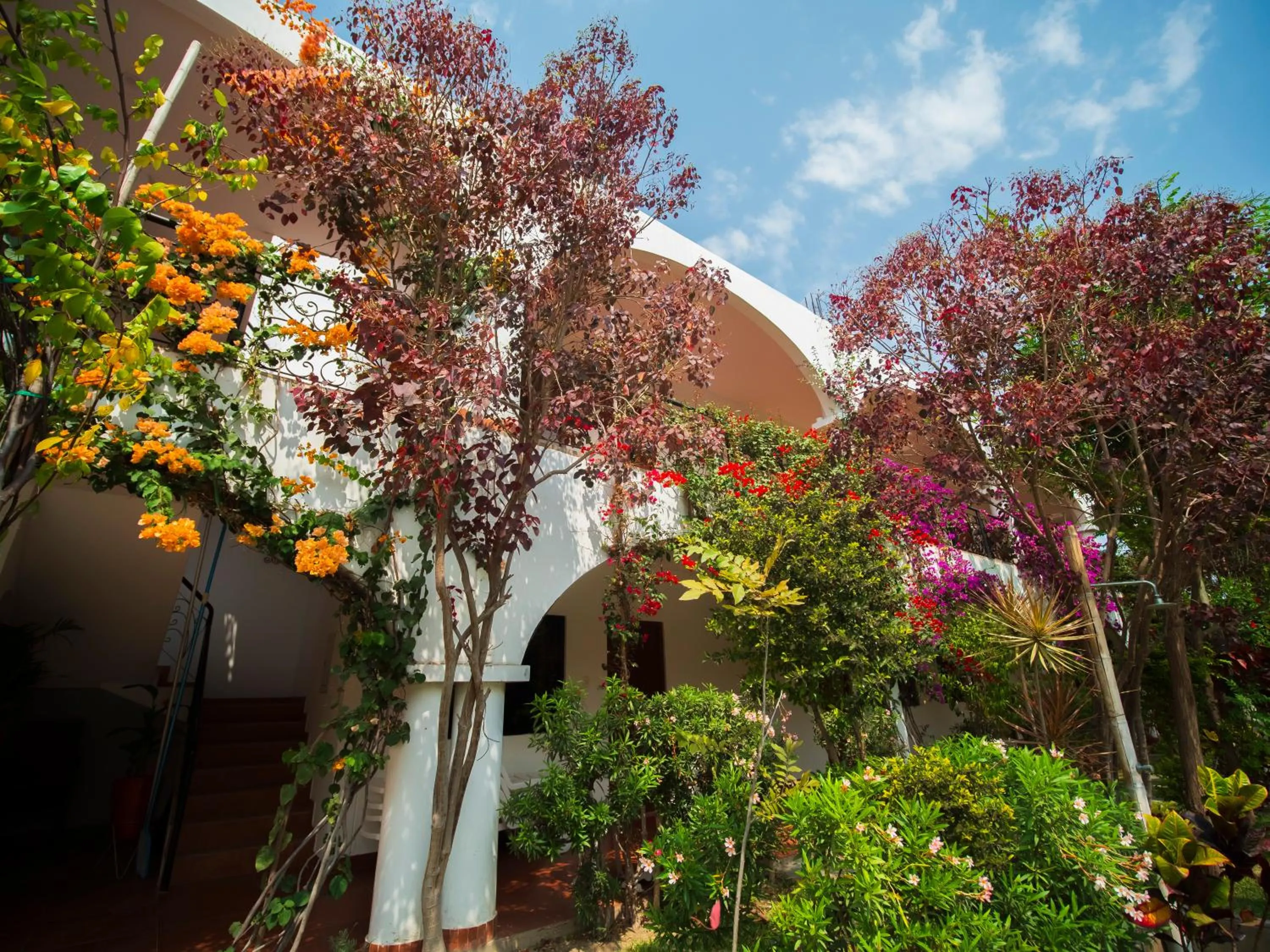 Balcony/Terrace in Casa Hotel Mamaluna