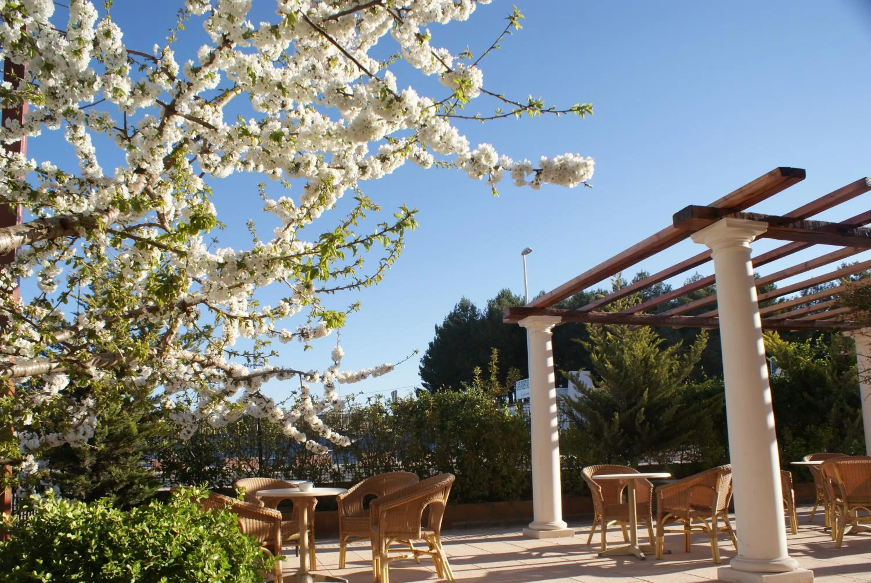 Hotel Patilla Ciudad de Requena