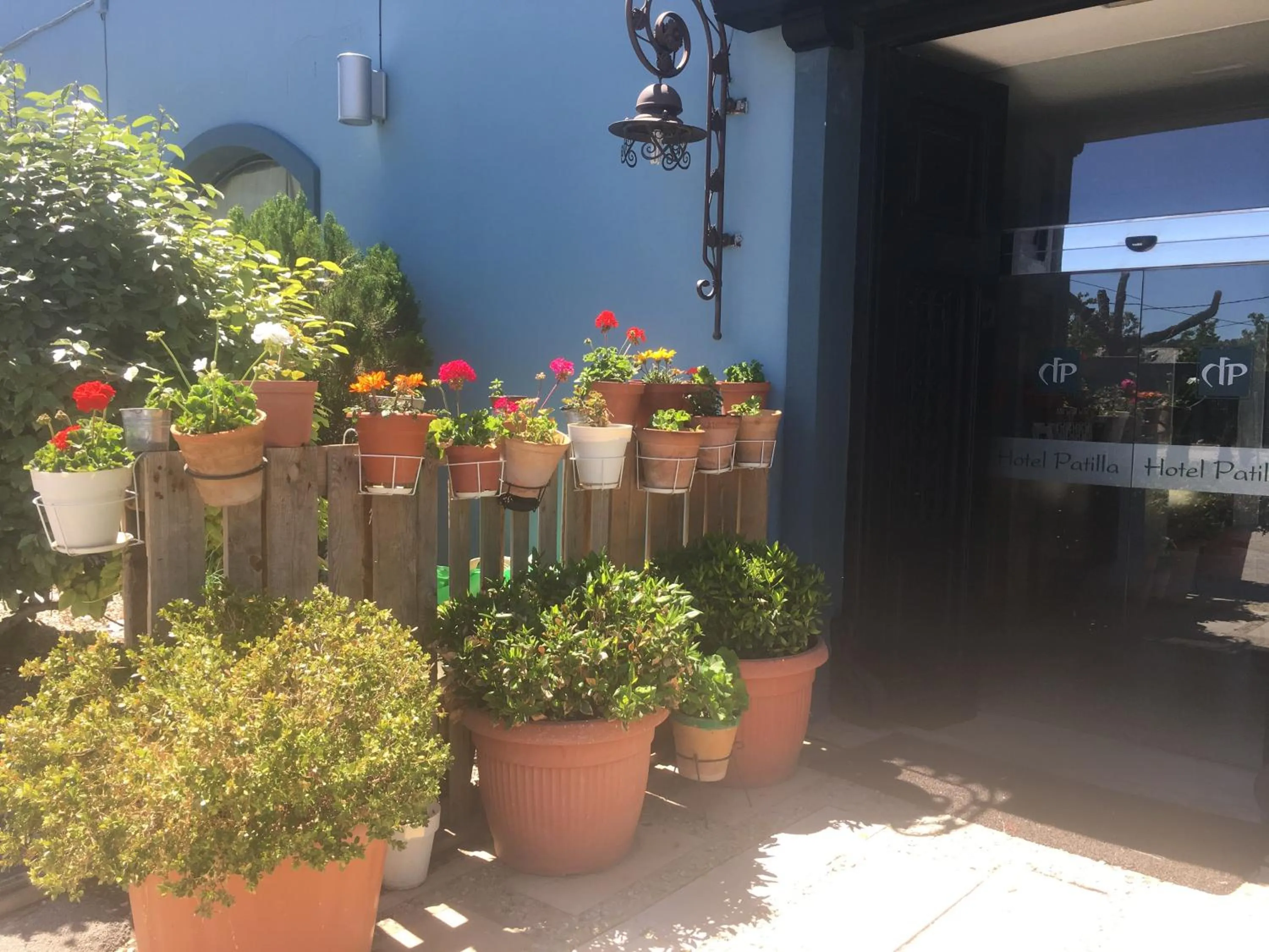 Hotel Patilla Ciudad de Requena