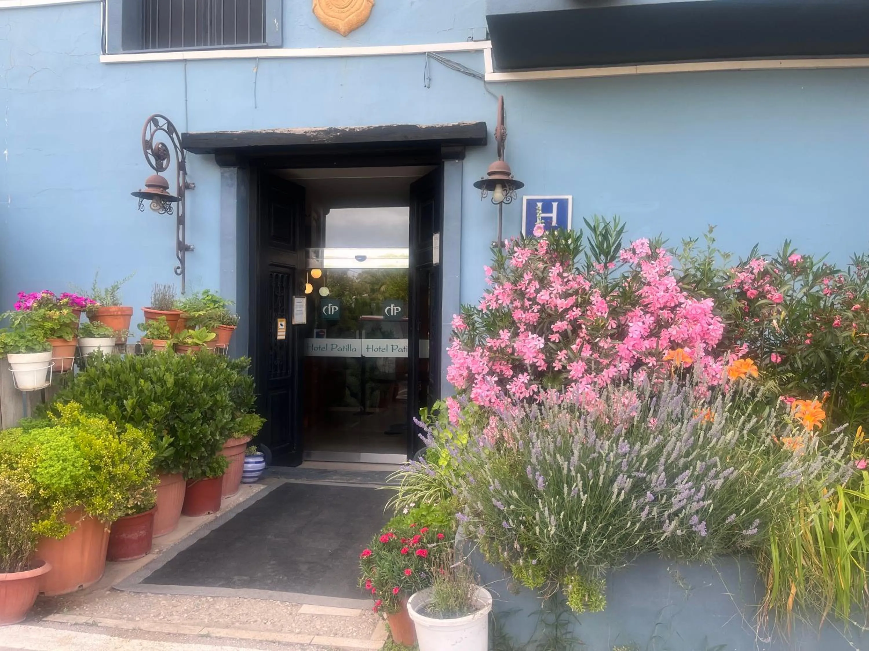 Hotel Patilla Ciudad de Requena