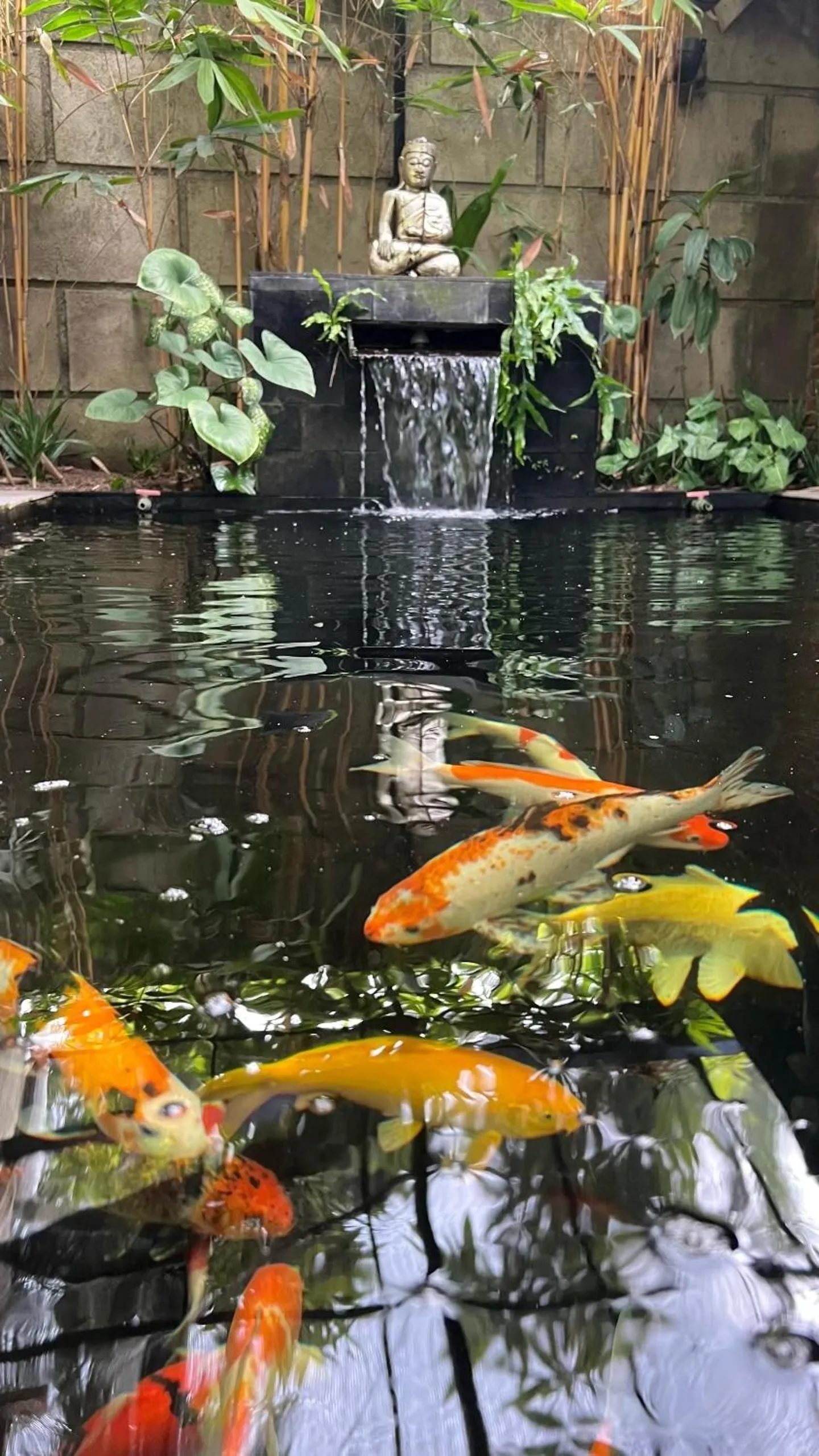 Natural landscape in Tahlia's Villa