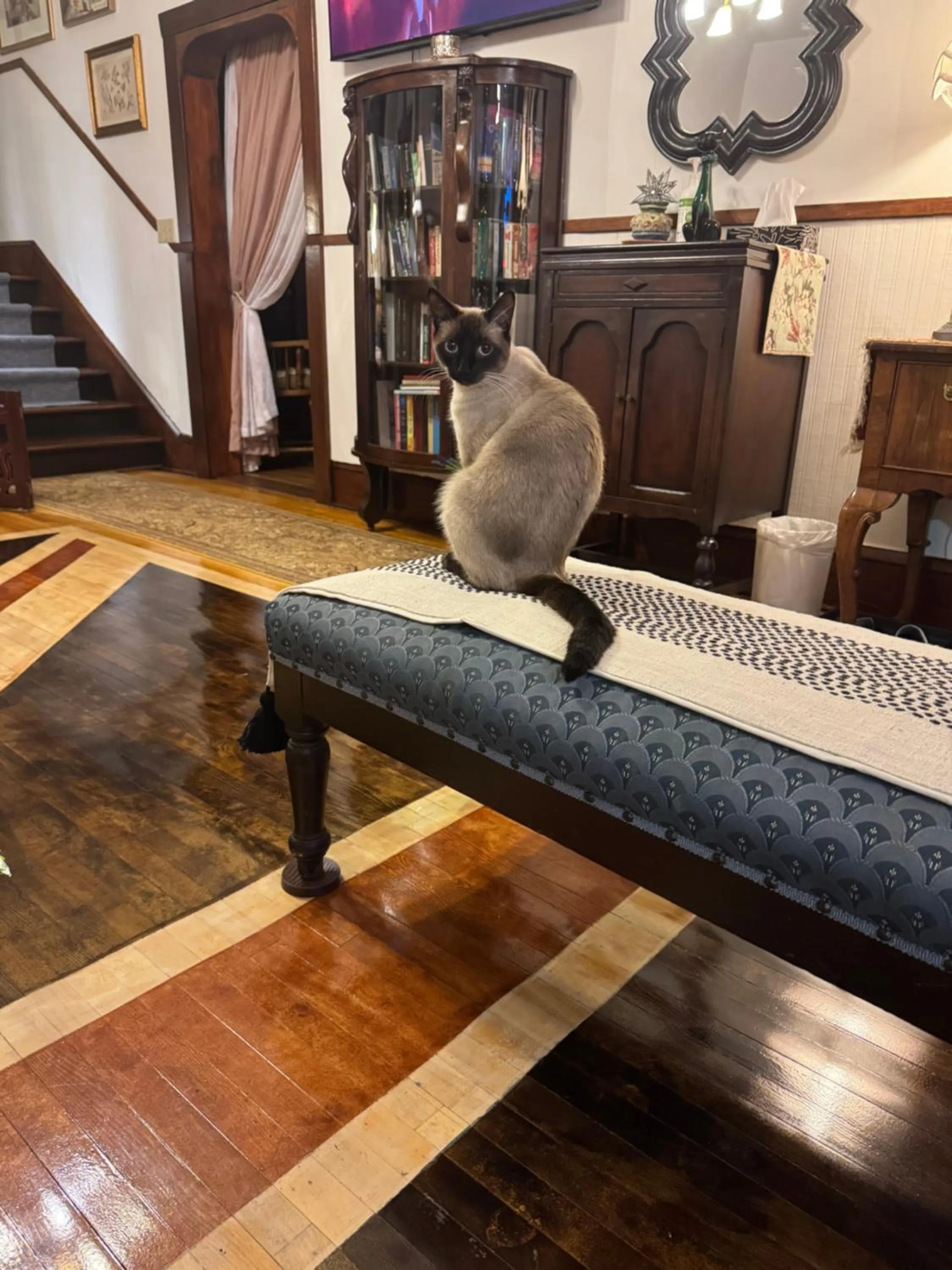 Lobby or reception in Royal Hotel Sydney