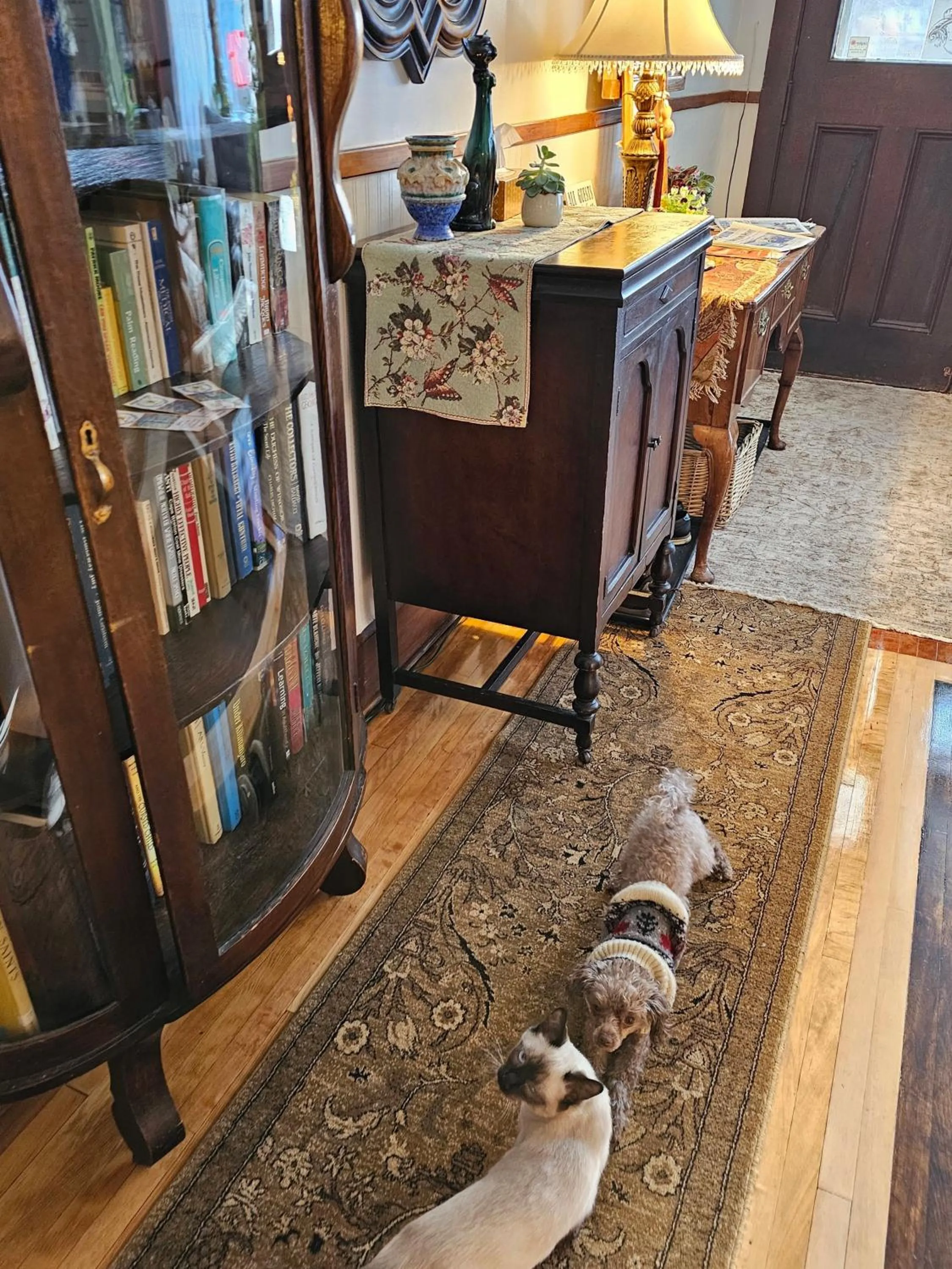 Pets in Royal Hotel Sydney