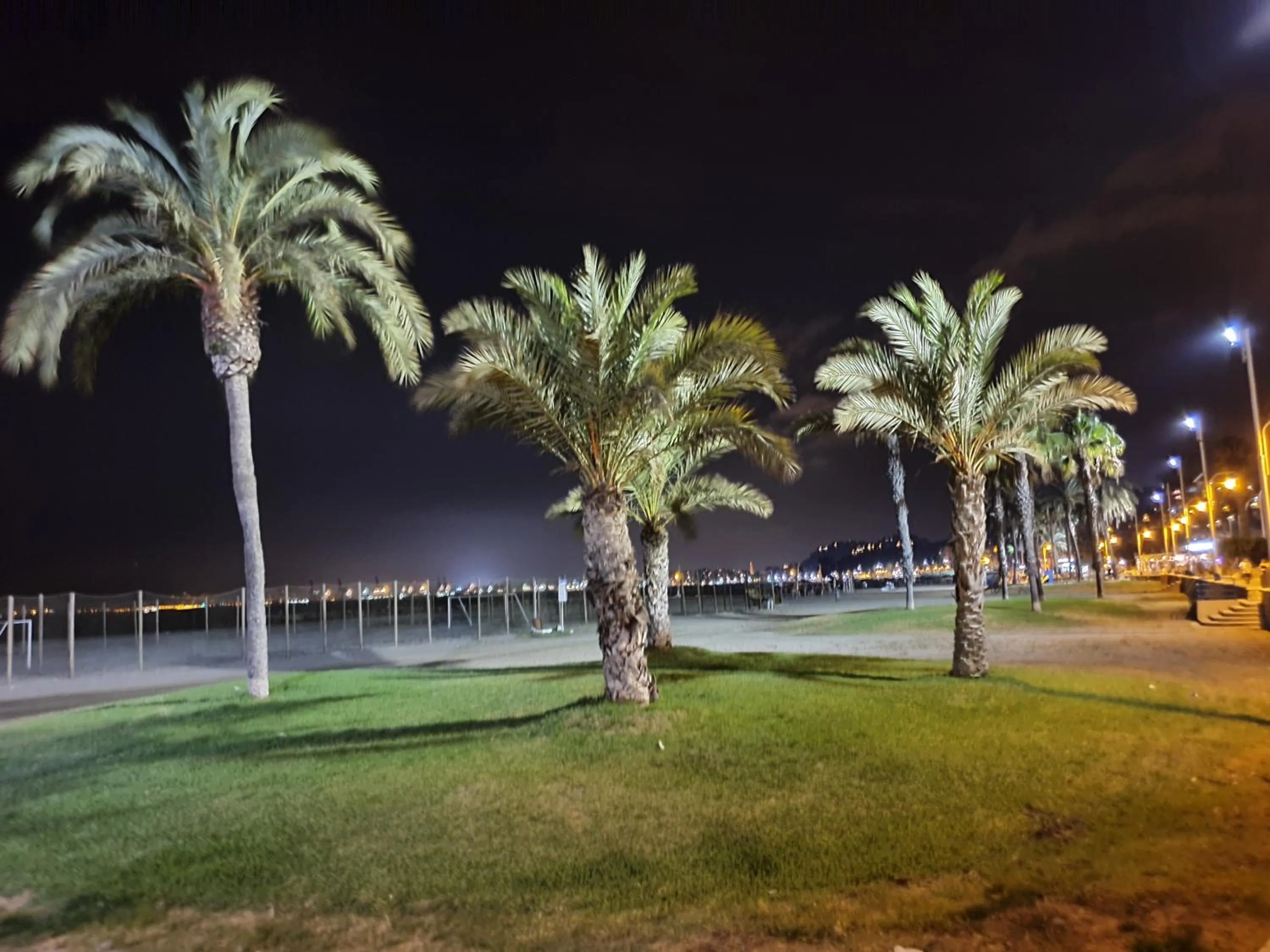 Activities in El Nogal Home