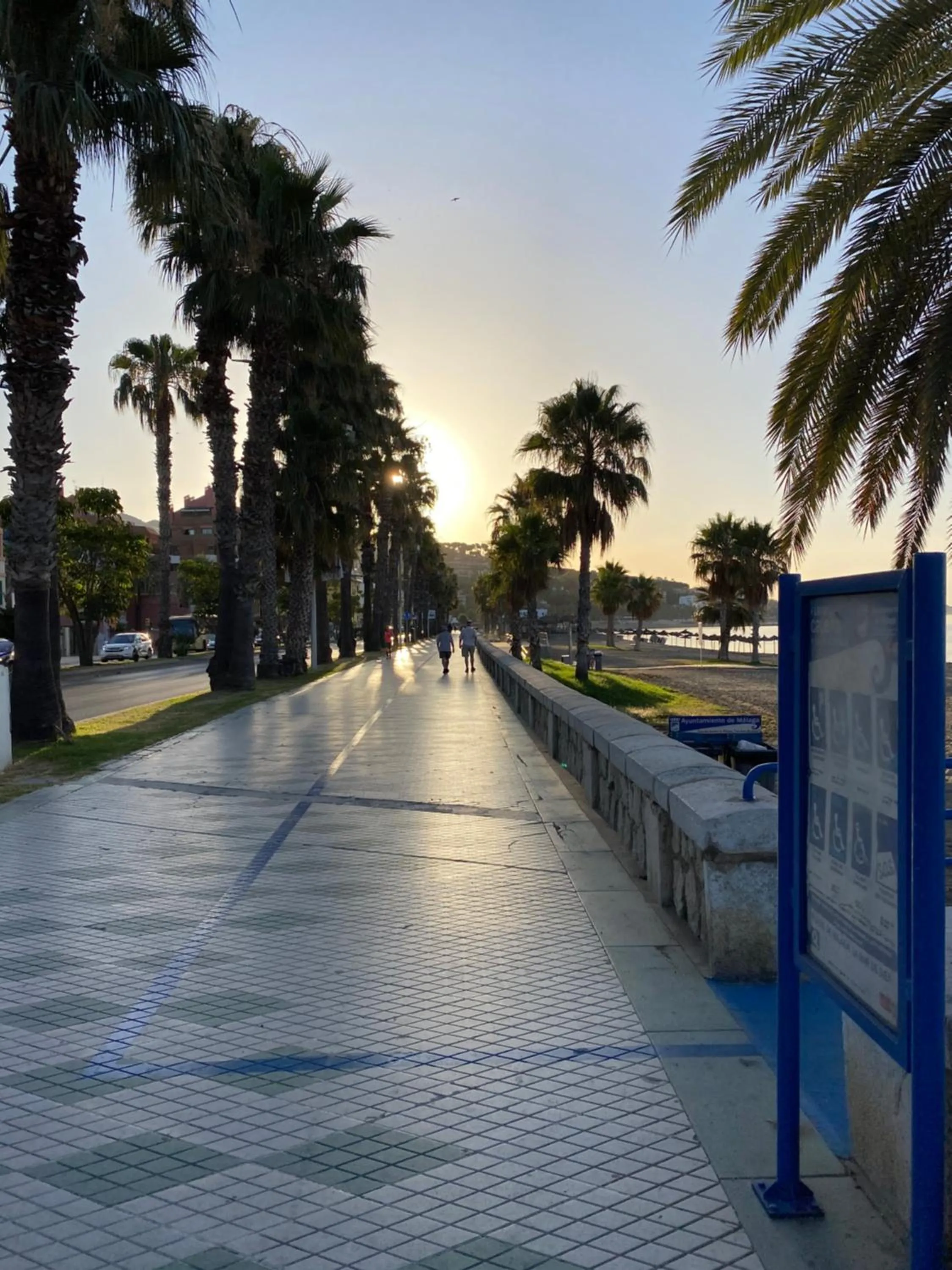 Natural landscape in Hostal Moscatel