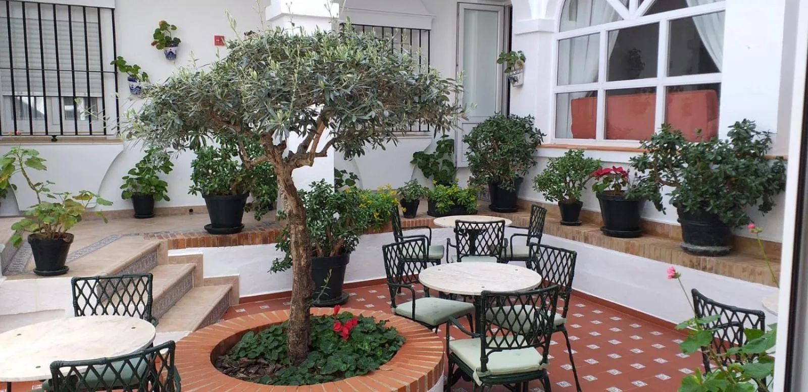 Property building in Hotel Los Olivos