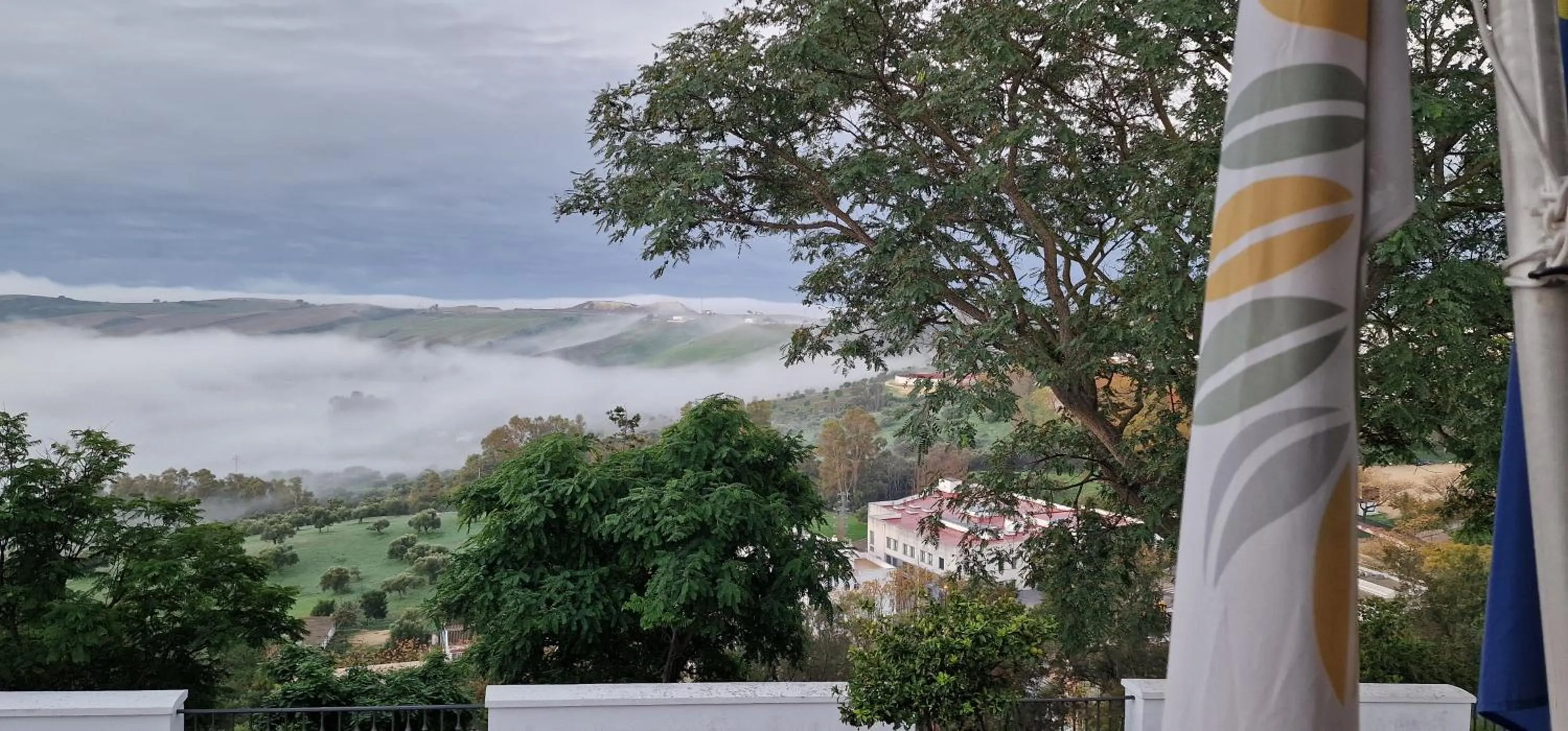 Property building in Hotel Los Olivos