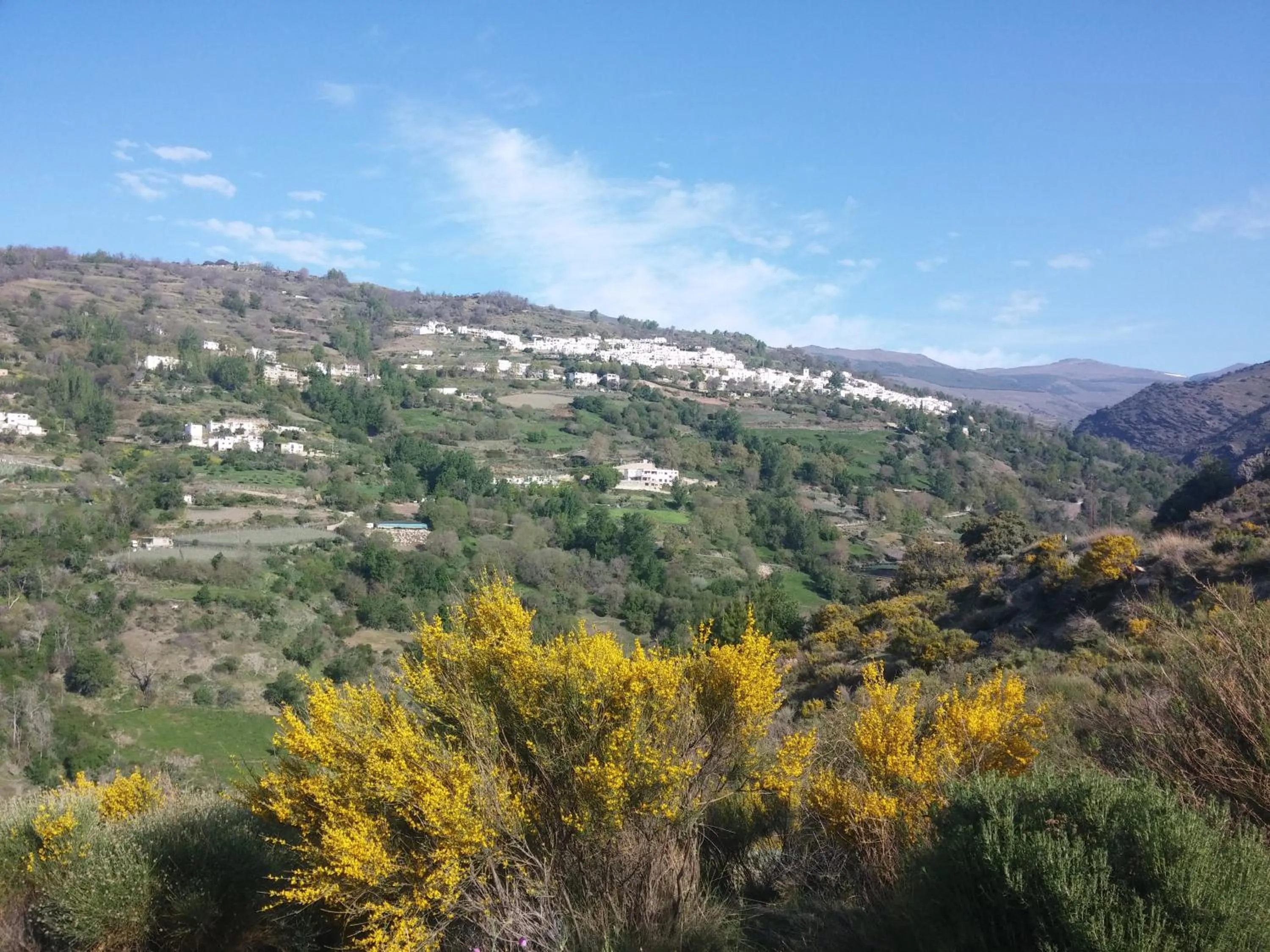 Spring in Turismo Rural & SPA El Cercado