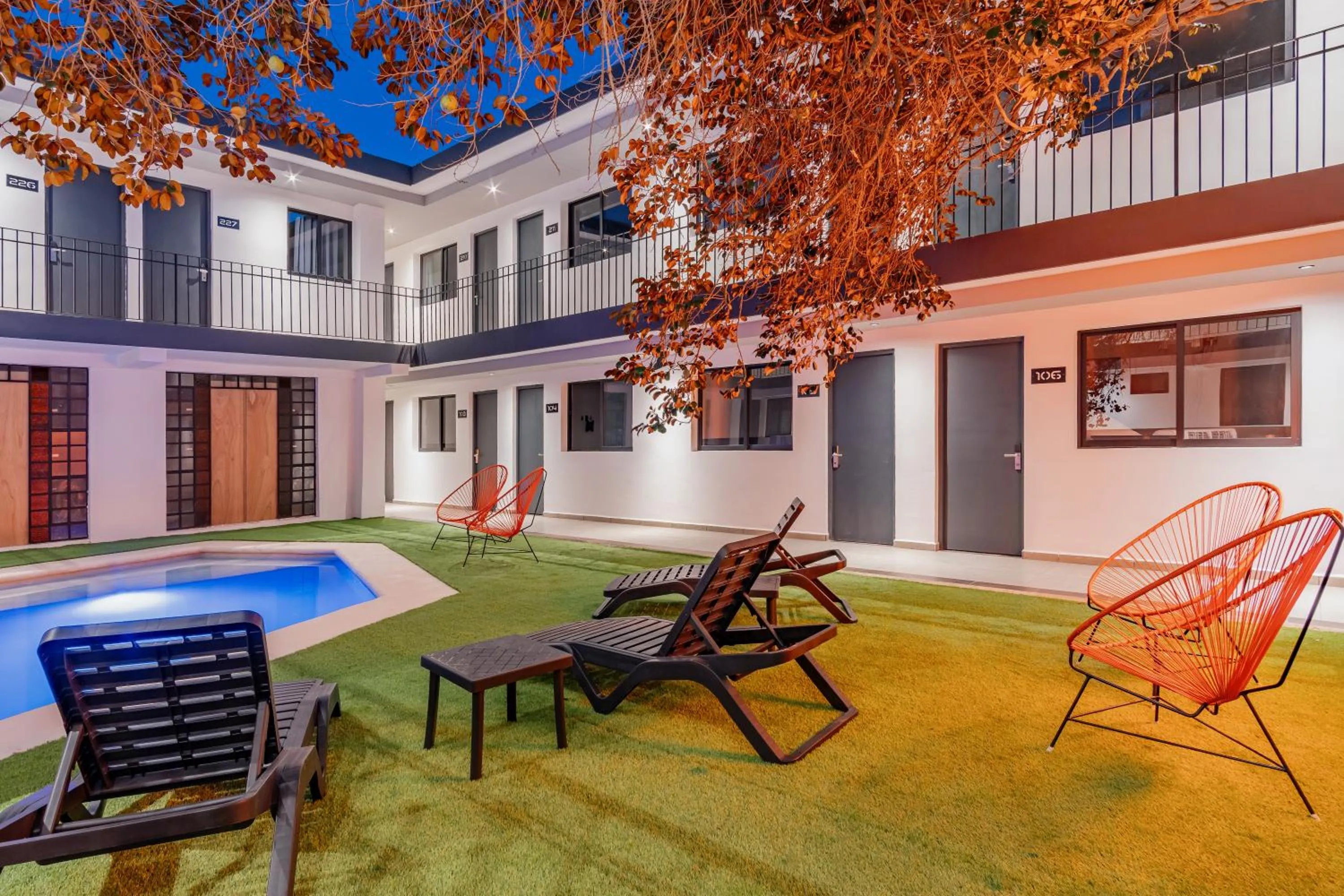 Garden view in Hotel Mody Merida