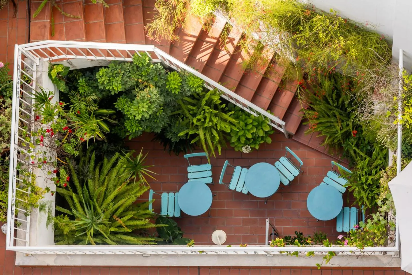 Patio in Colectia Hotel Santa Lucía