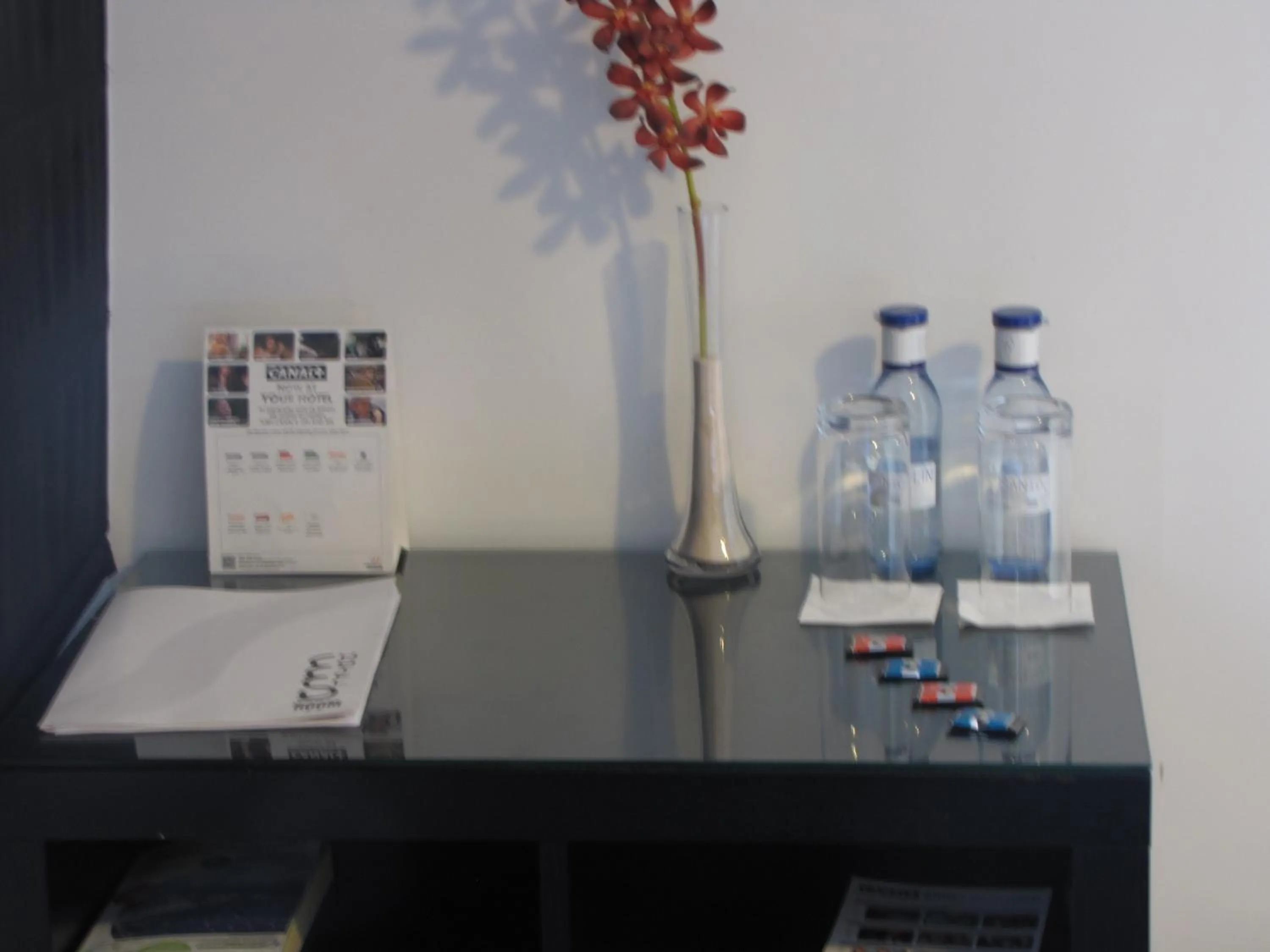 Decorative detail in Hotel Room