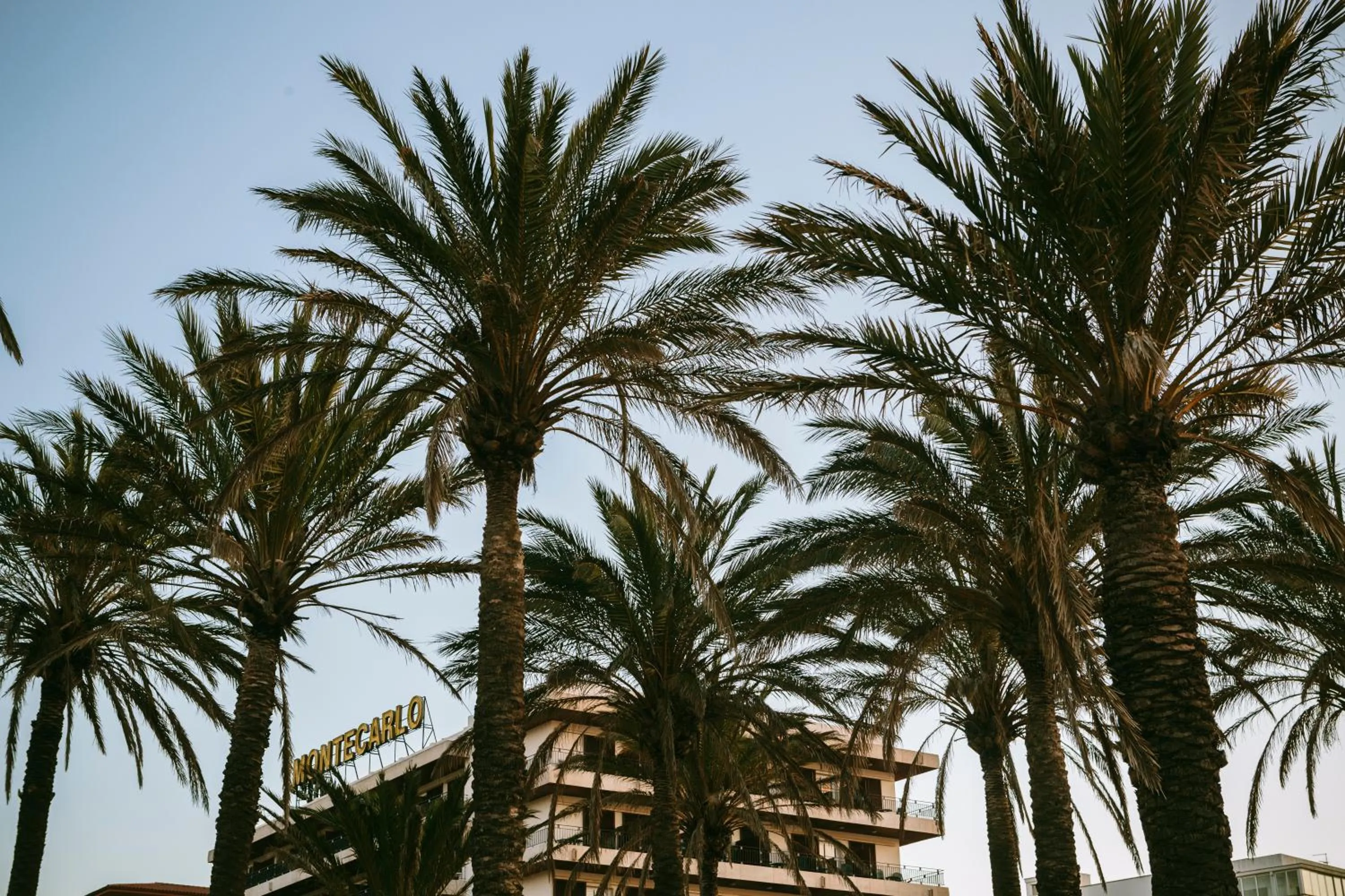 Facade/entrance in Hotel Montecarlo Spa & Wellness