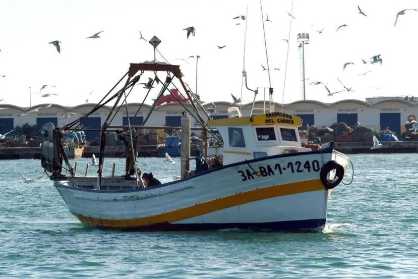 Neighbourhood in Cèsar