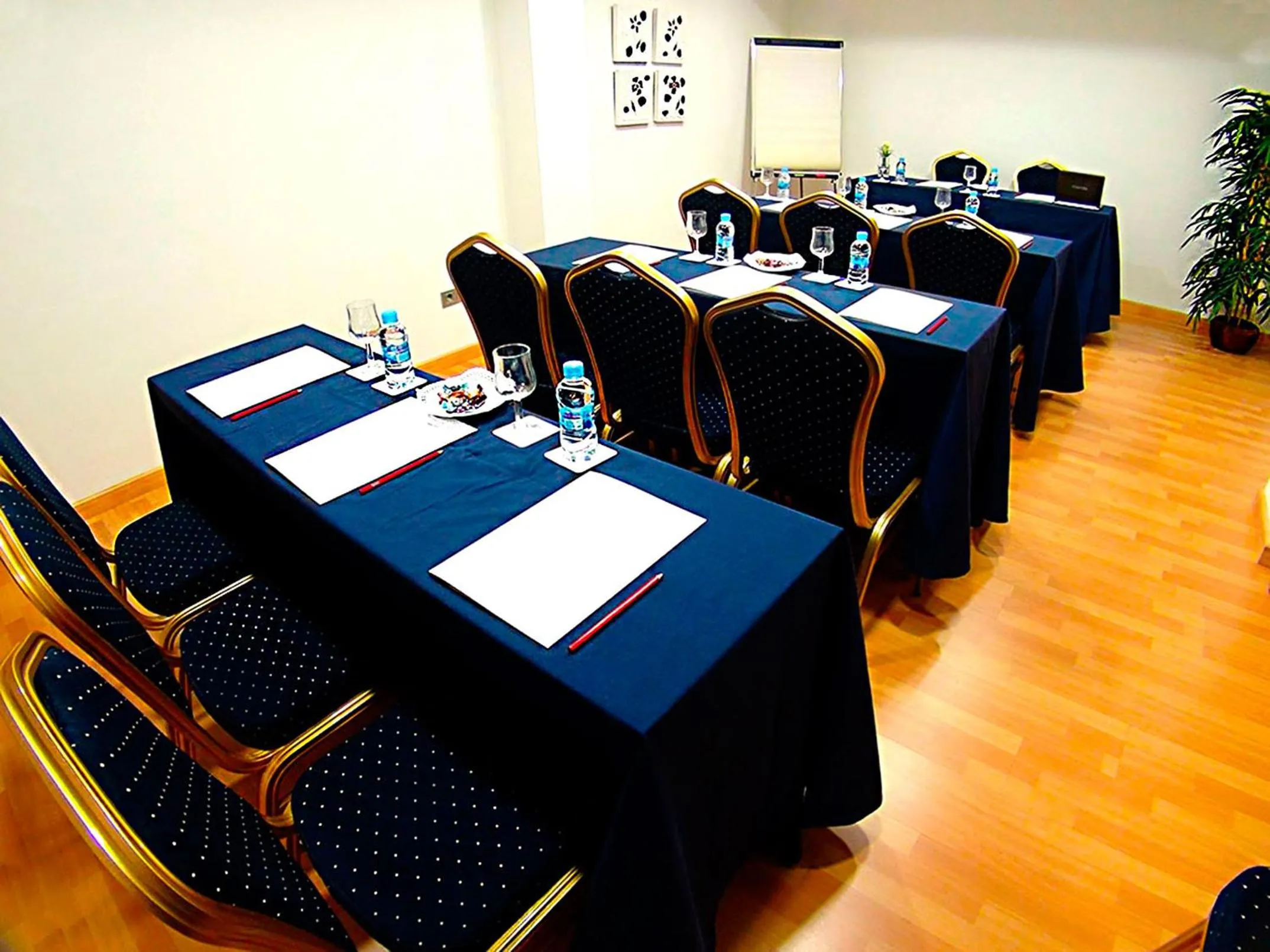 Business facilities in Hotel Villa San Juan
