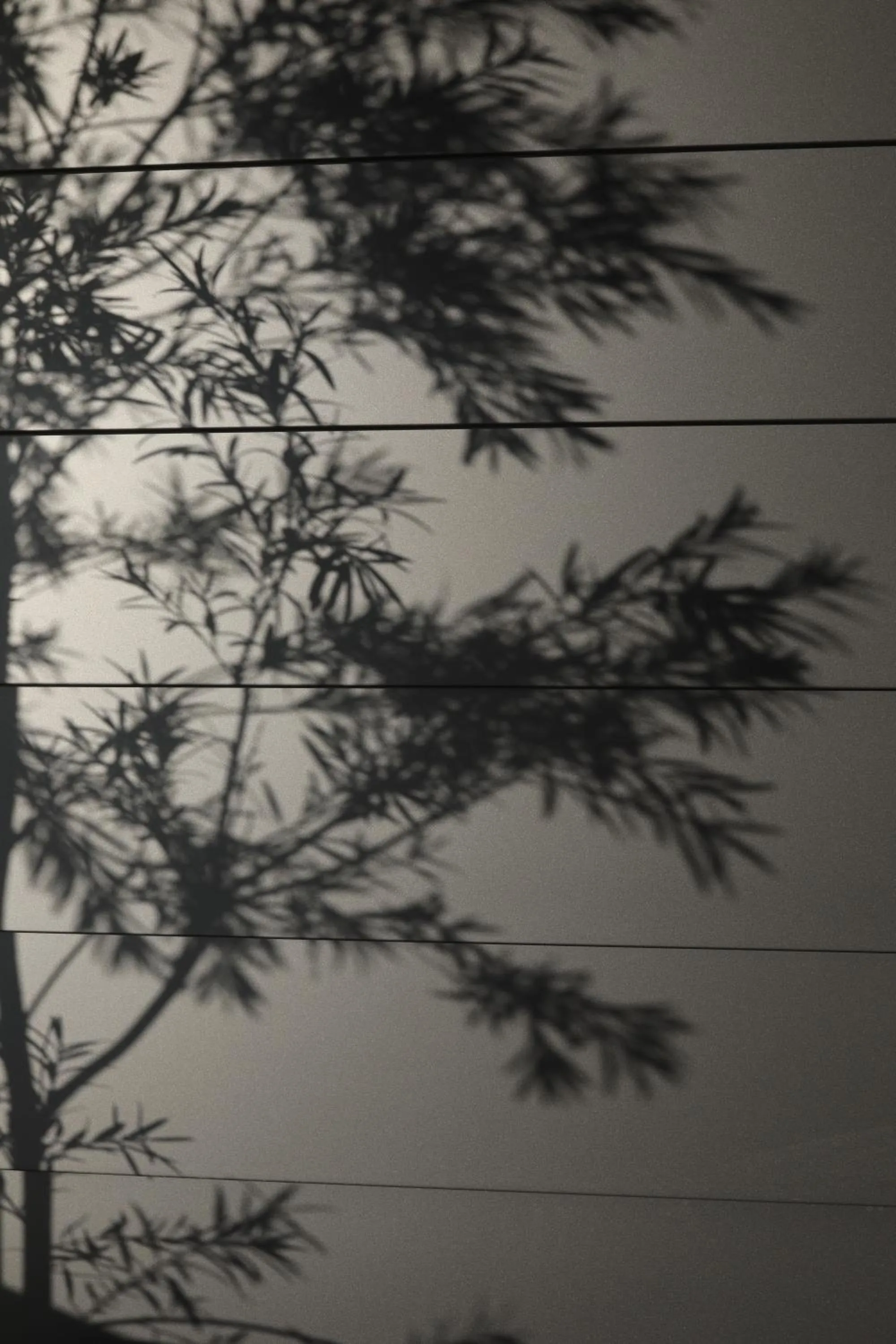 Garden in Reikyo Garden Osaka