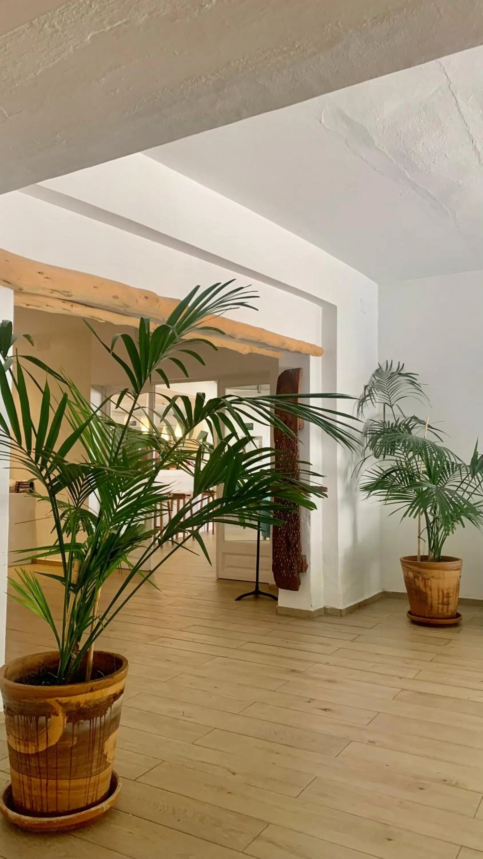 Property building in Hotel Tagomago