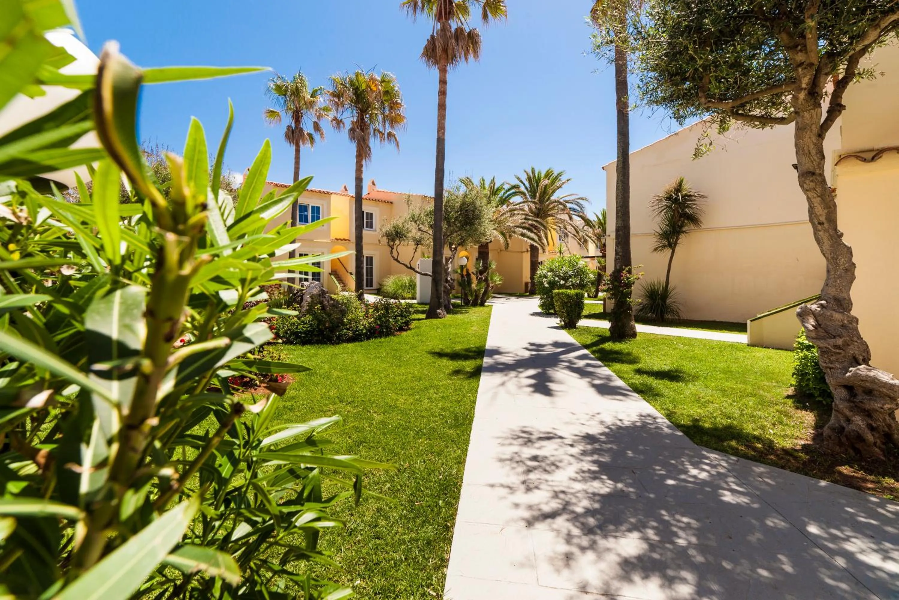 Garden in Globales Binimar