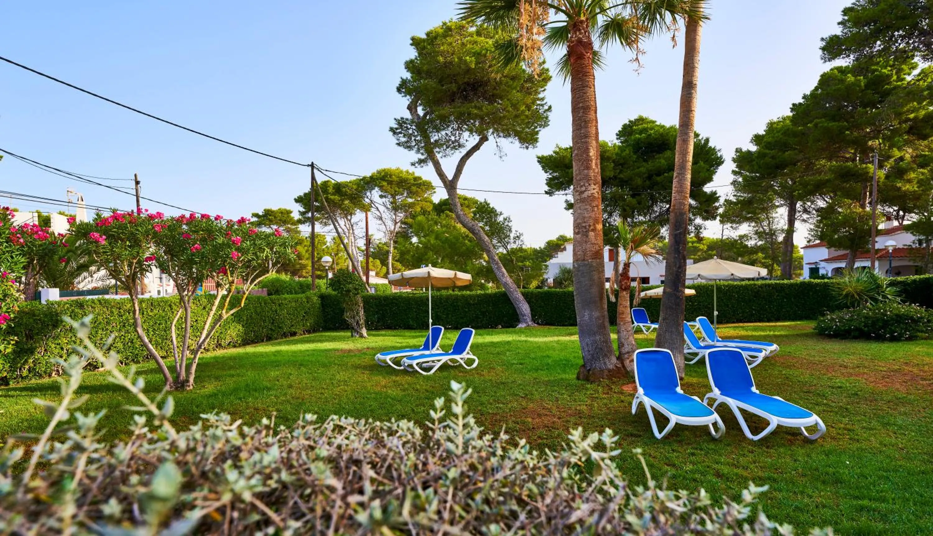 Garden in Globales Cala Blanca