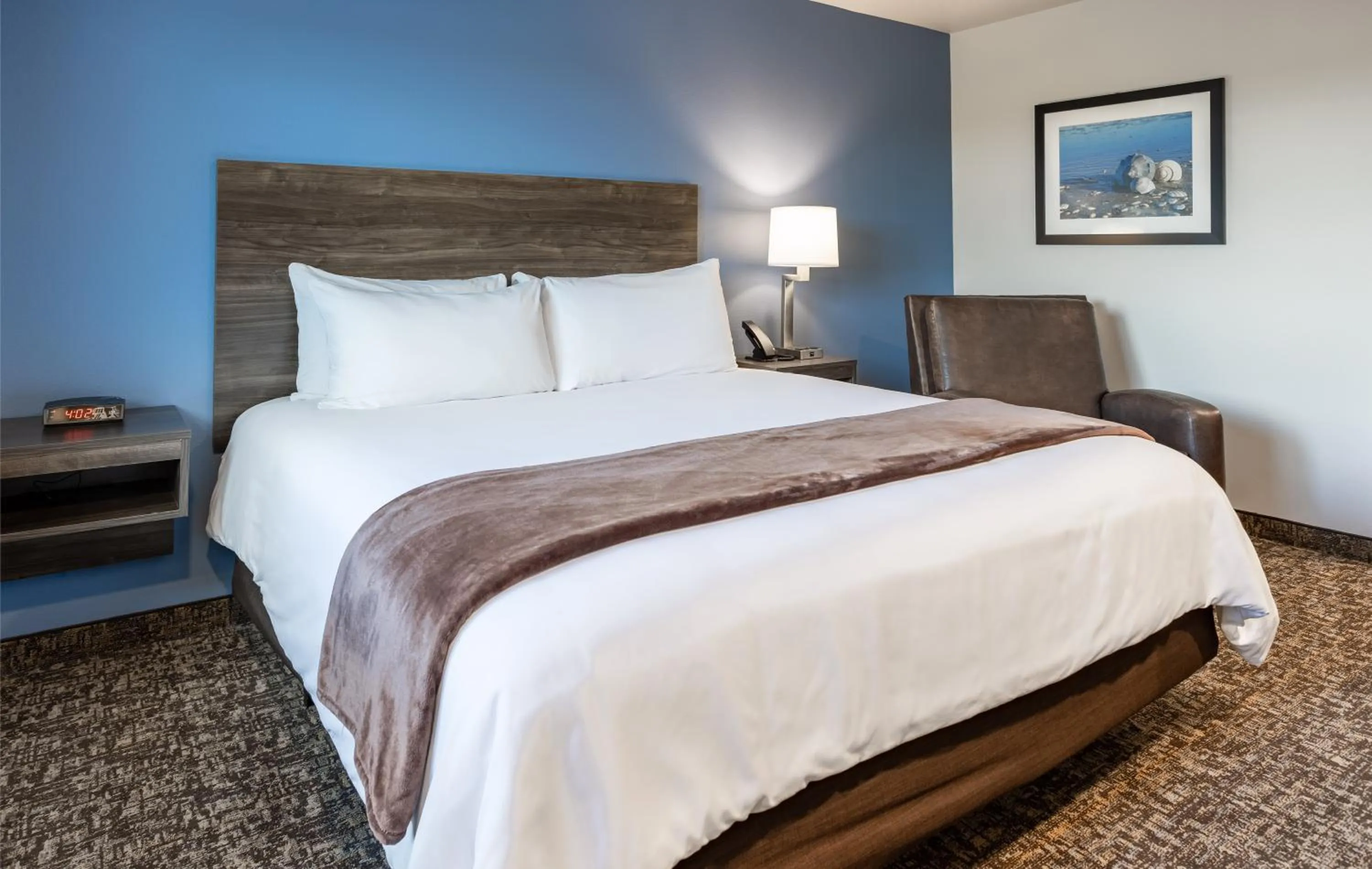 Bed in My Place Hotel-Jacksonville-Camp Lejeune, NC