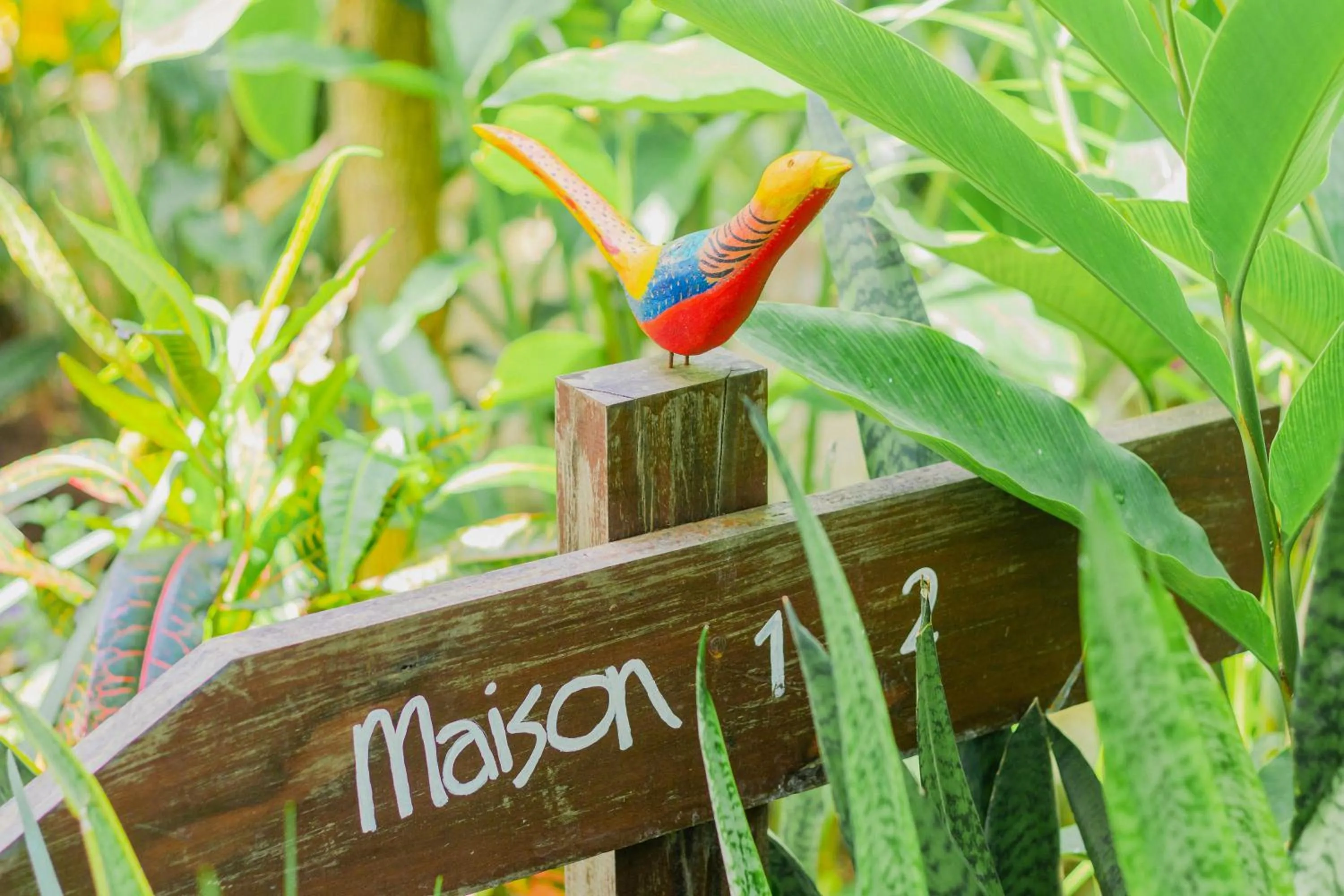 Garden in Maison Bacalar