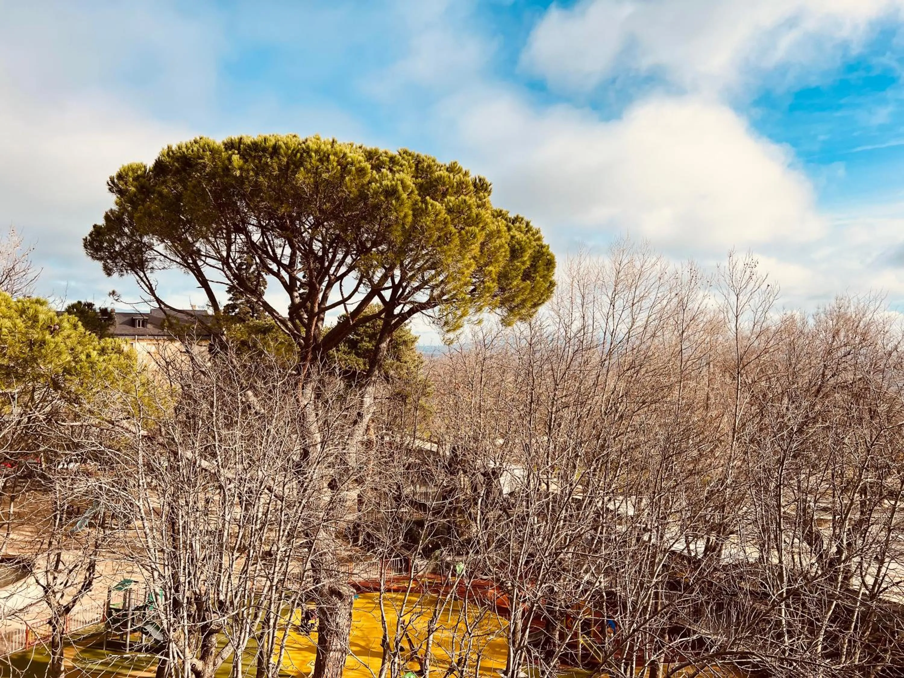 Natural landscape in Hospedium Hotel Los Lanceros
