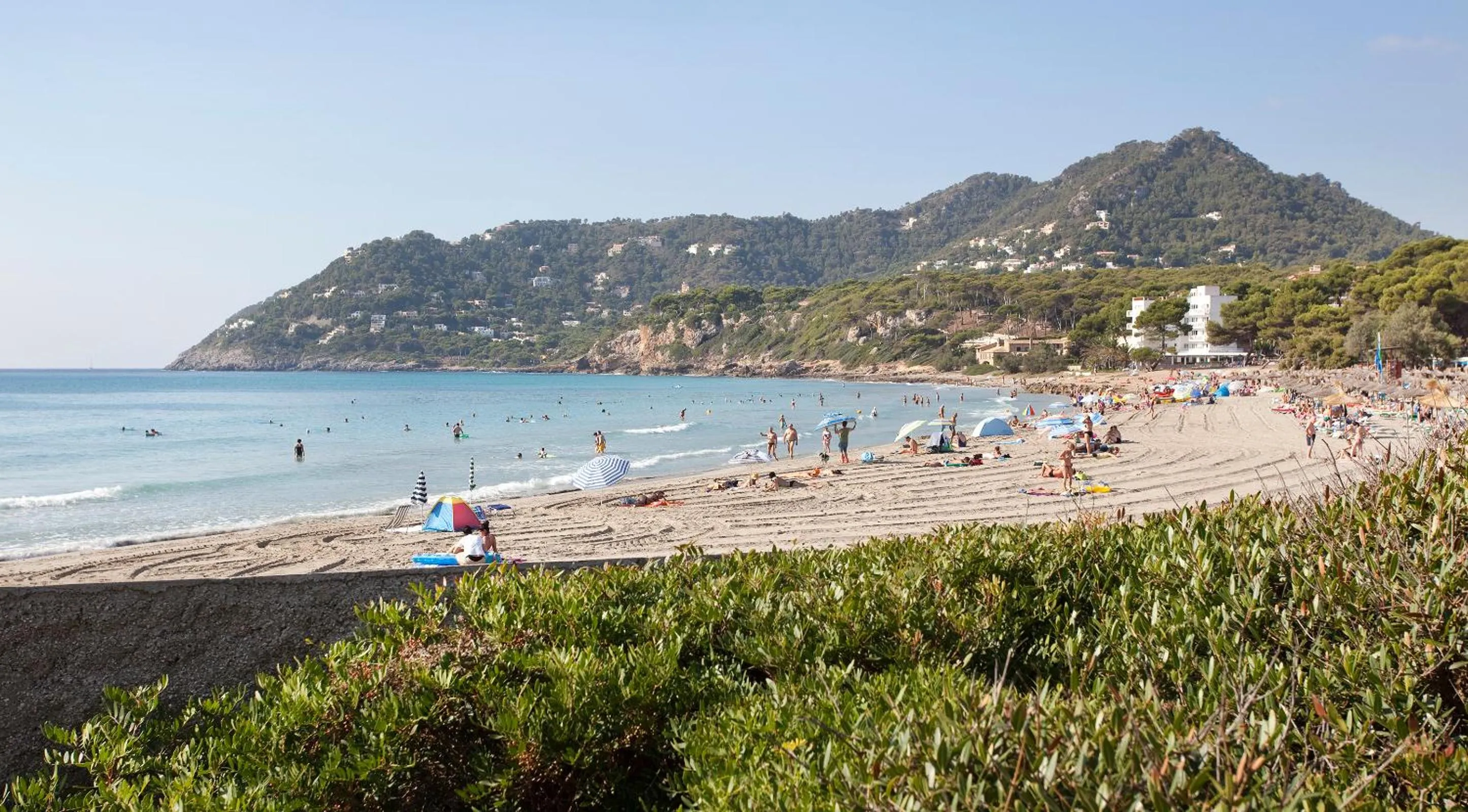 Beach in Canyamel Sun Suites Hotel