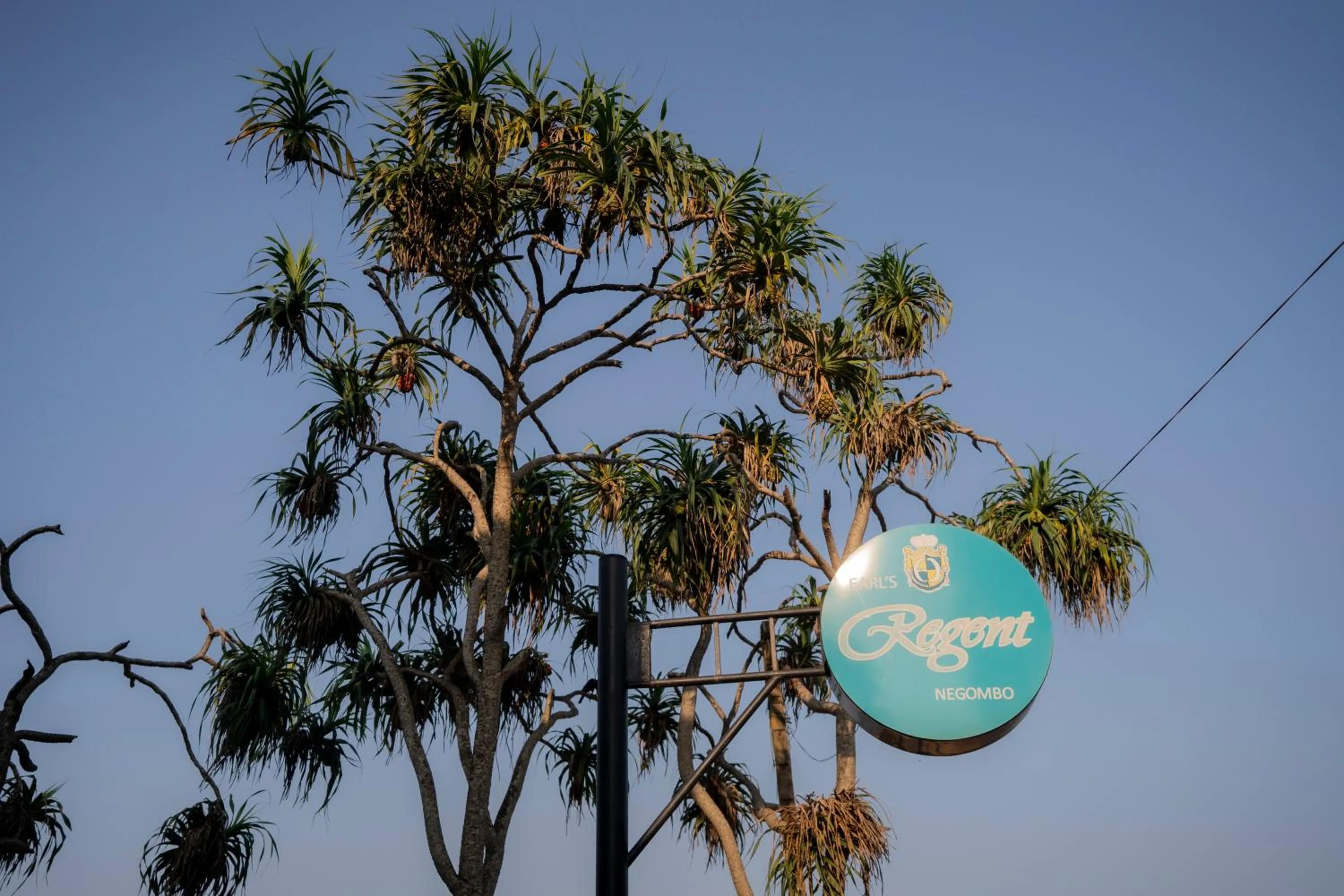 Facade/entrance in Earl's Regent Negombo "Golden Shore at Your Door - Find Your Dream Stay"