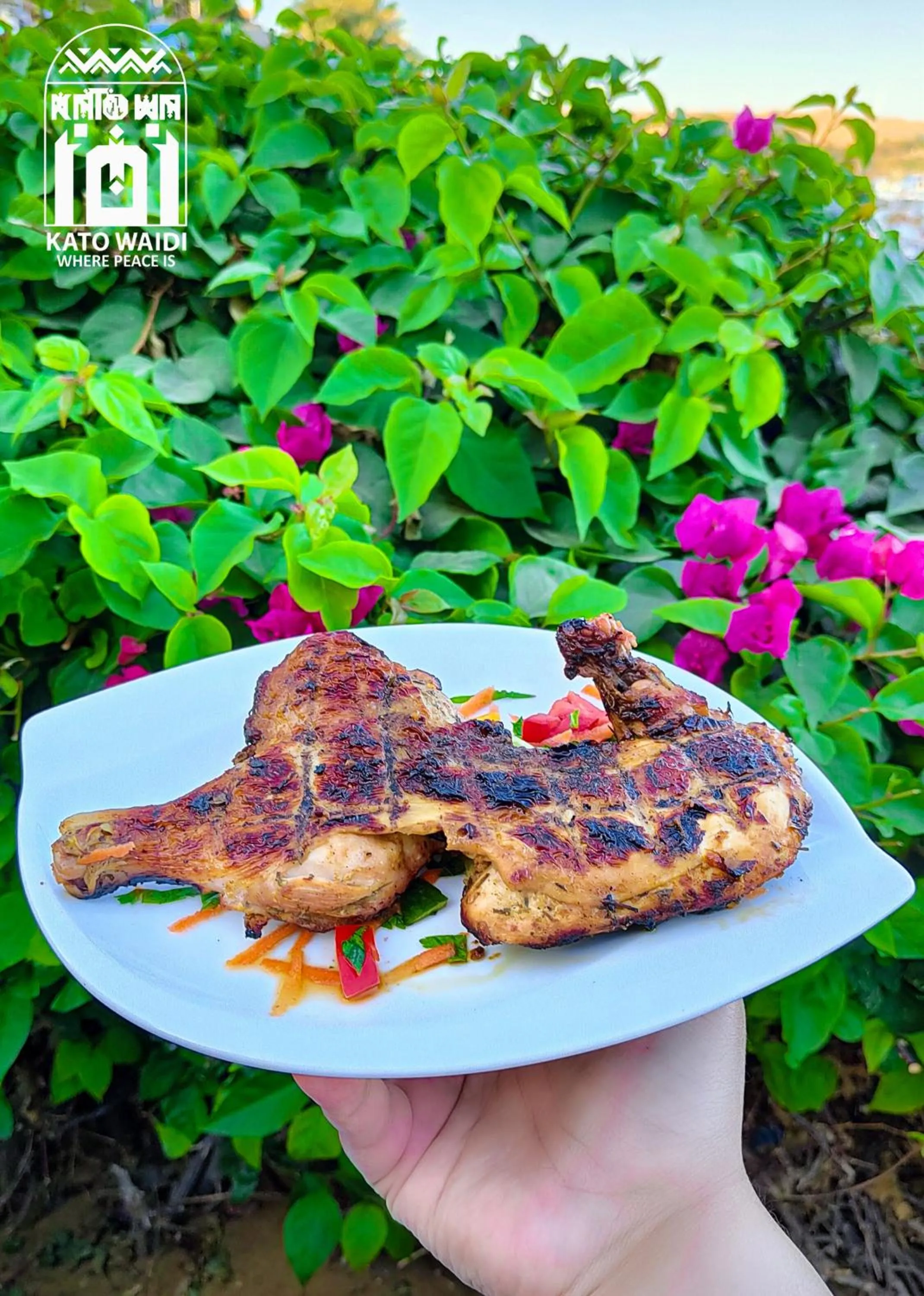 Restaurant/places to eat in Kato Waidi Nubian Resort