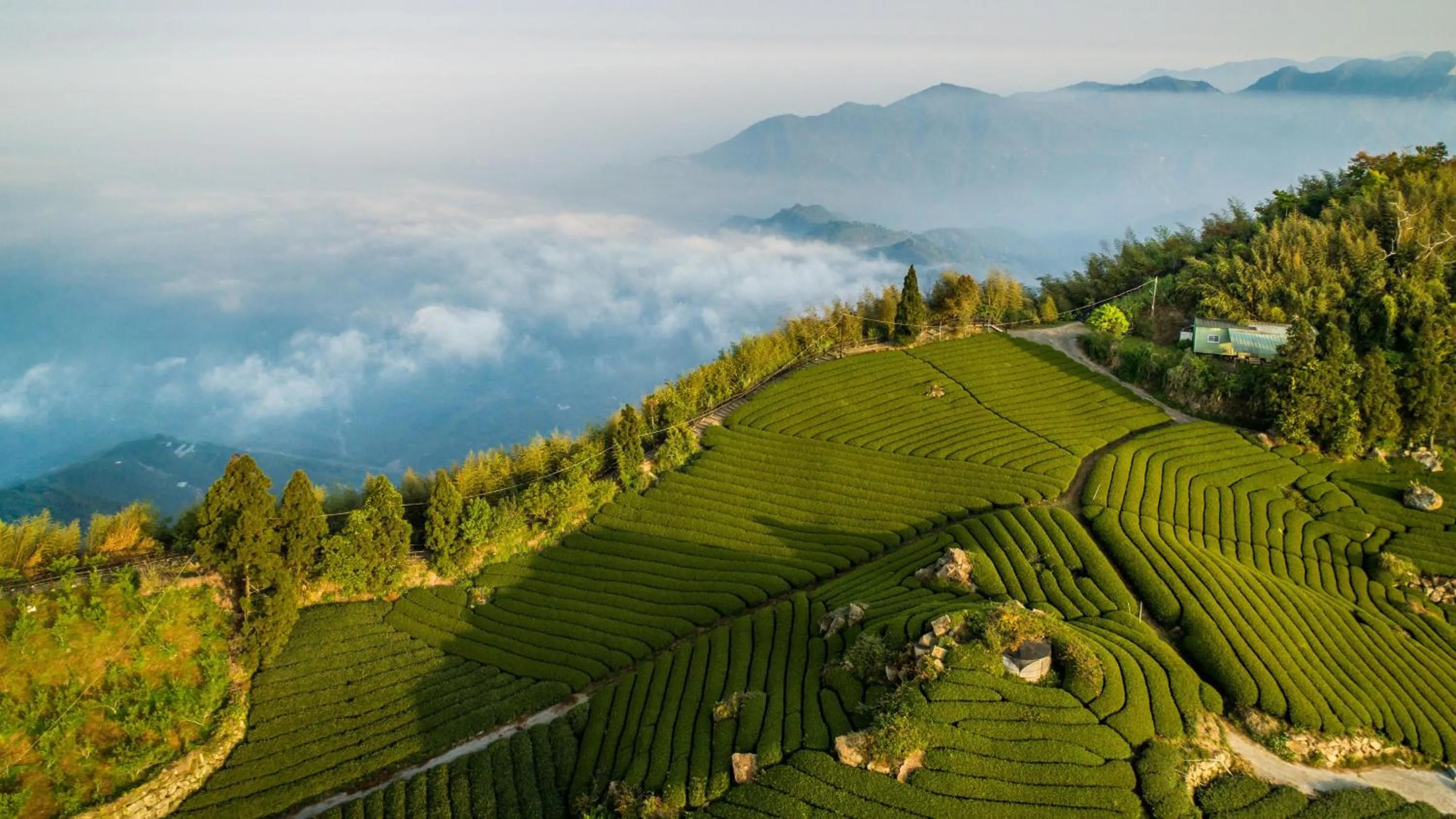 Nearby landmark in Hotel Indigo Alishan by IHG