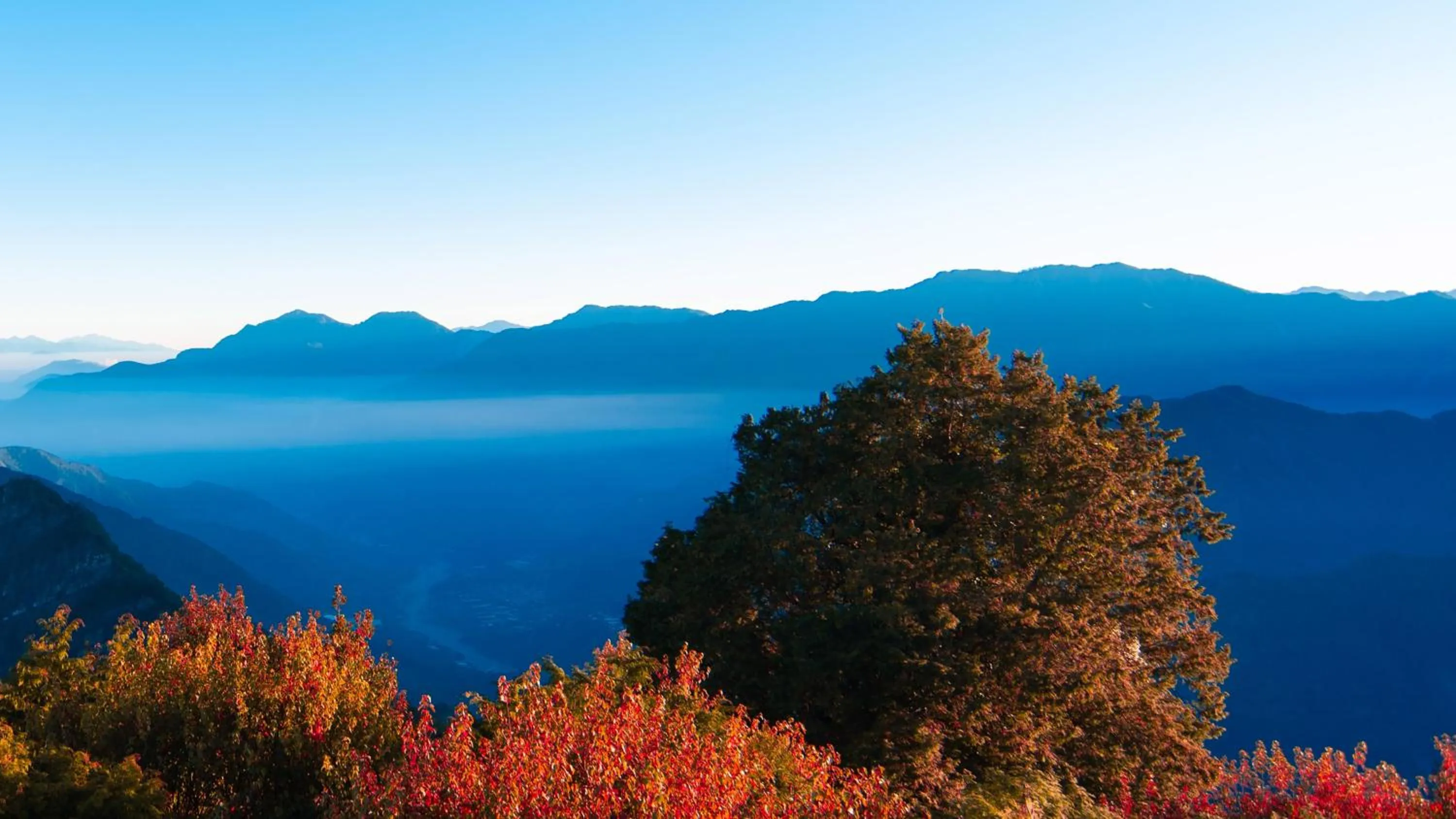 Nearby landmark in Hotel Indigo Alishan by IHG