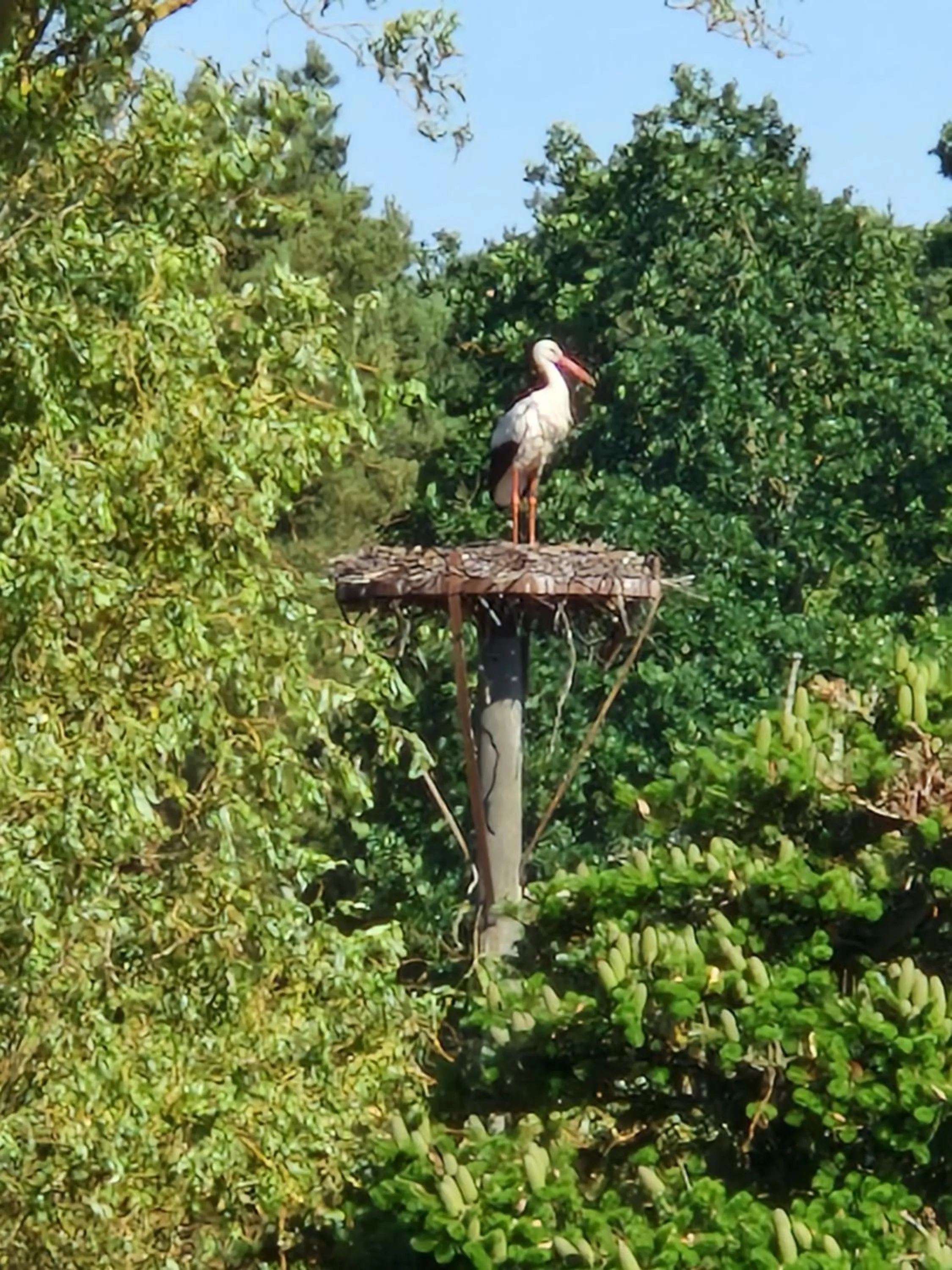 View (from property/room) in Vielanker Brauhaus GmbH