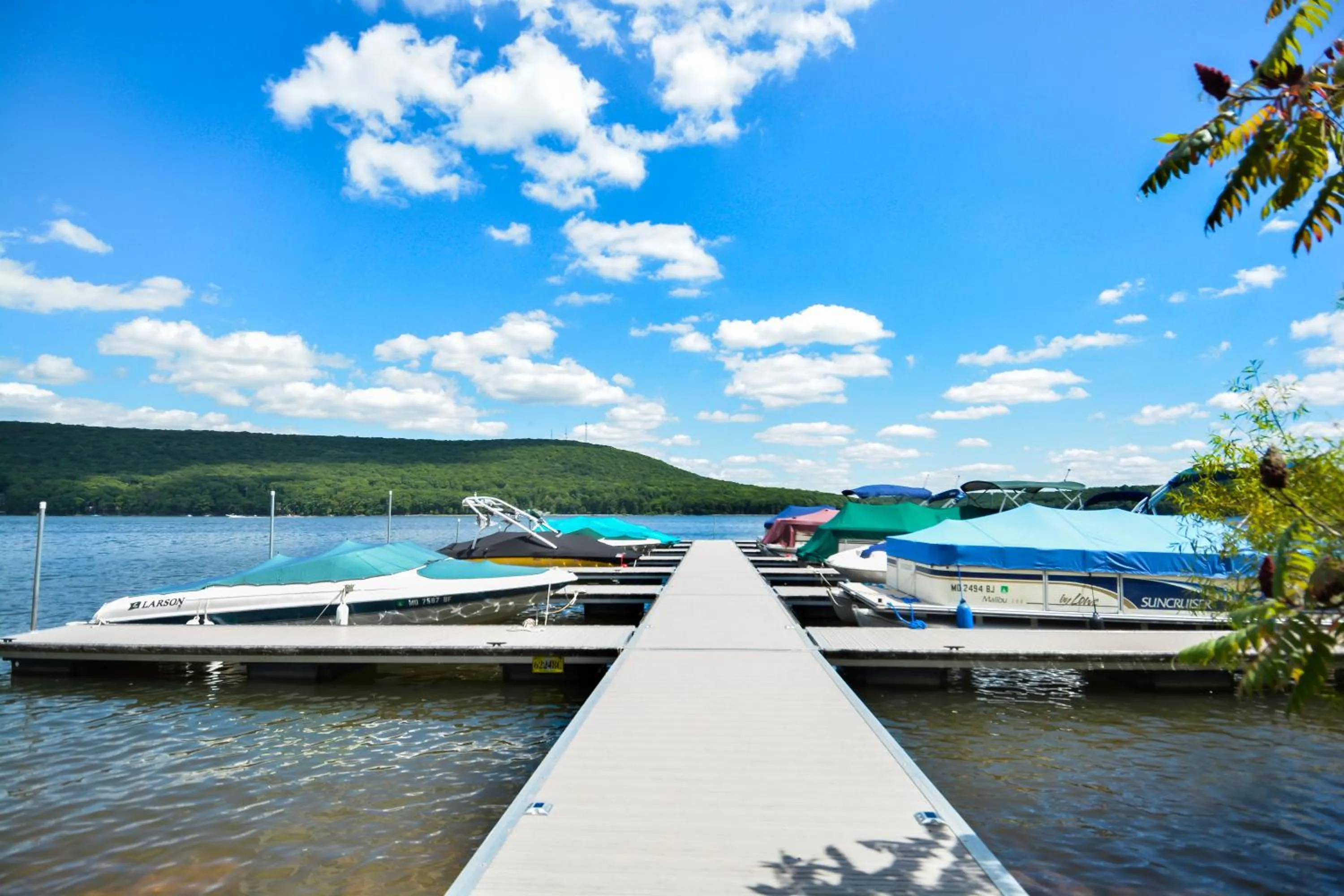 Property building in Cedarwoods