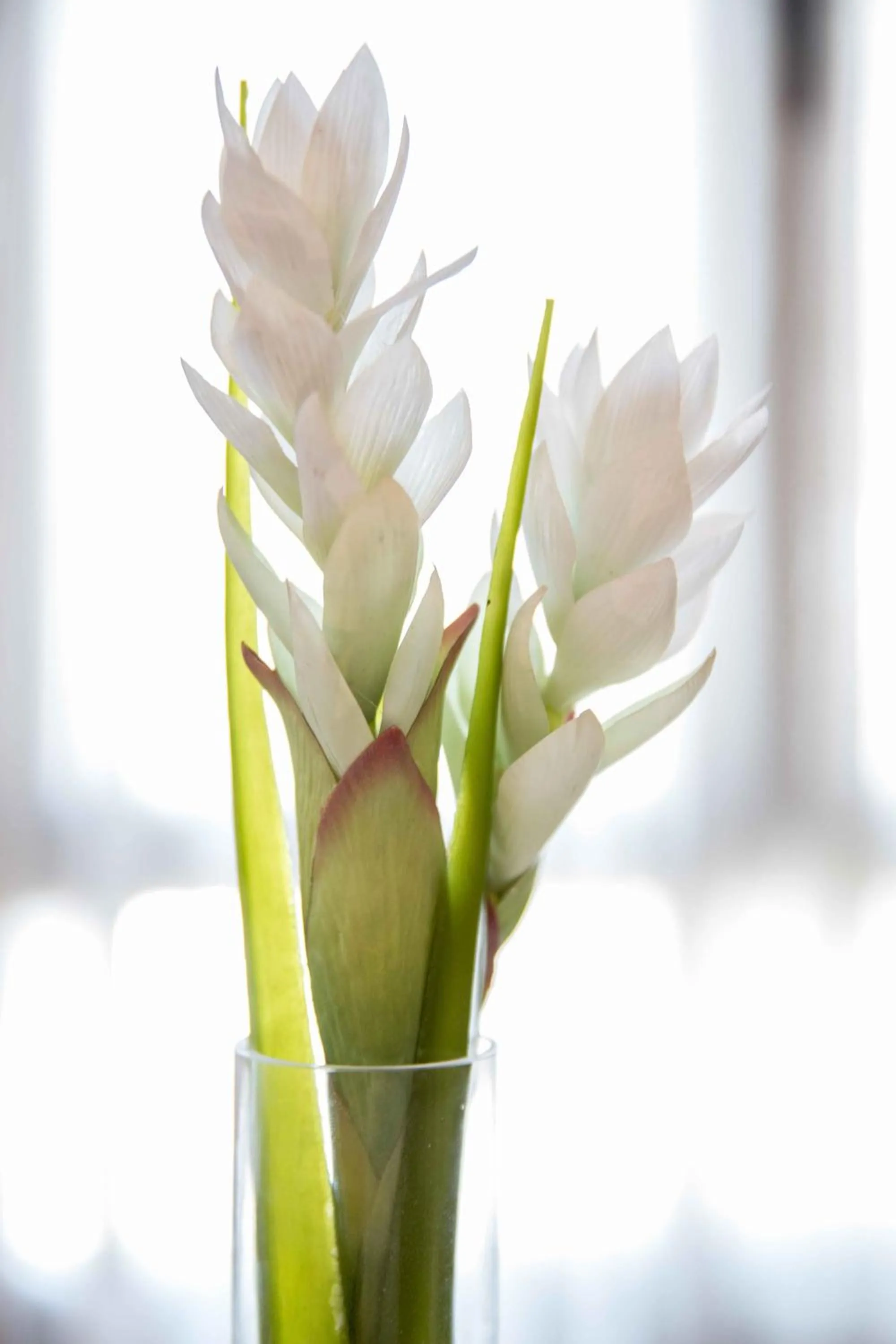 Other in Alda Casa De Los Reyes