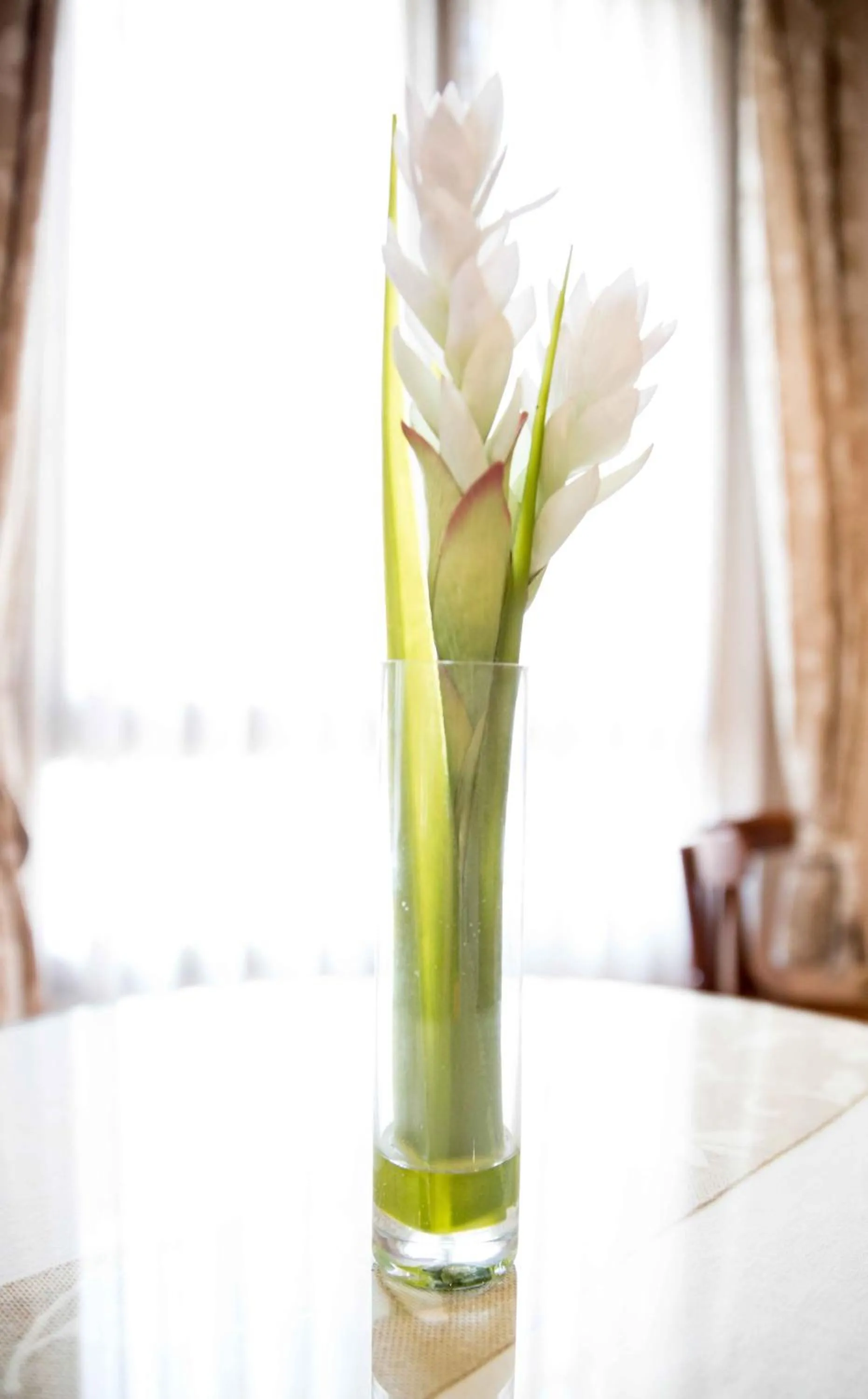 Other in Alda Casa De Los Reyes