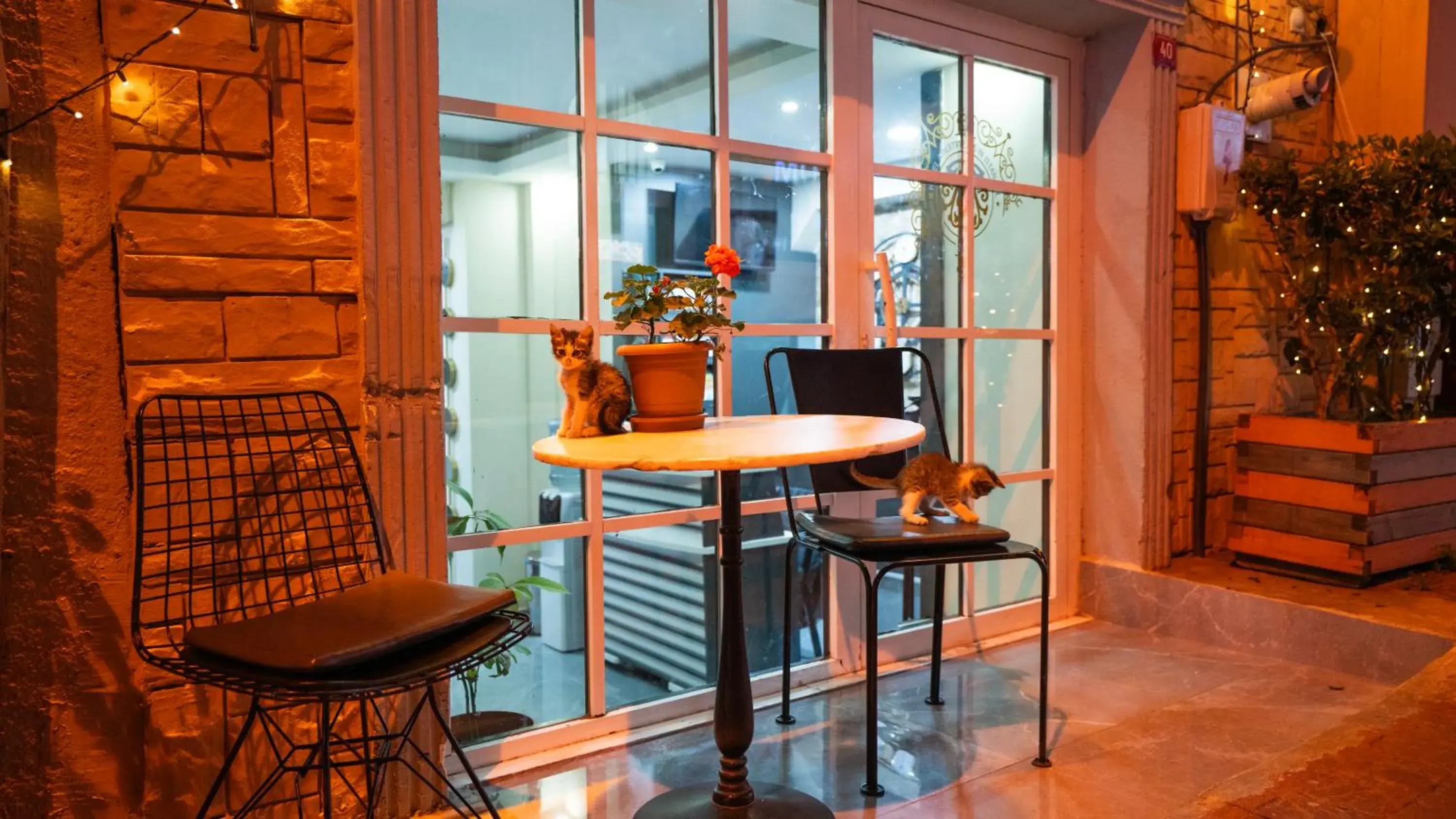 Standard Quadruple Room in MİLA SUİTES TAKSİM Standard Quadruple Room in MİLA SUİTES TAKSİM