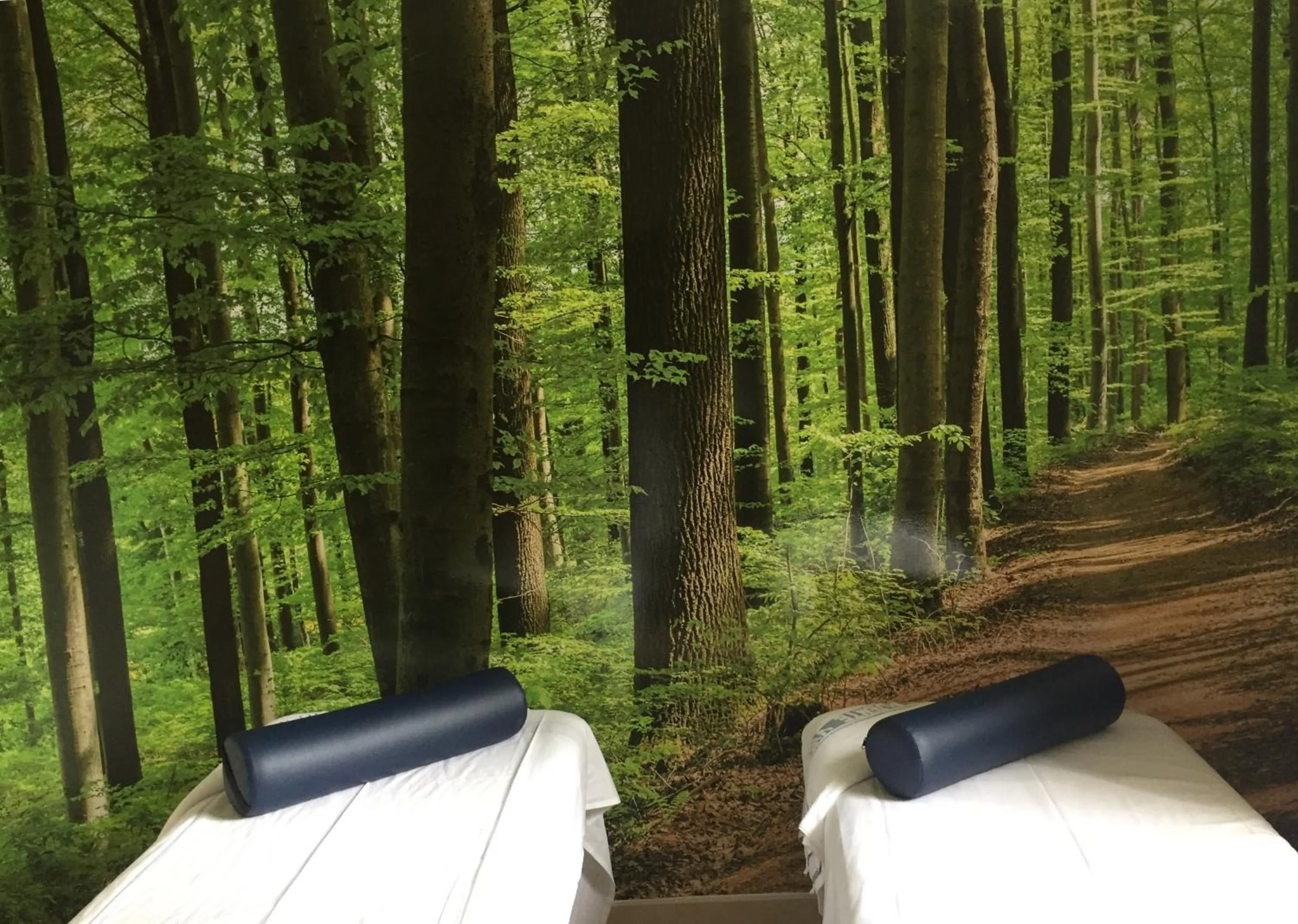 Massage in Gran Hotel Balneario De Puente Viesgo