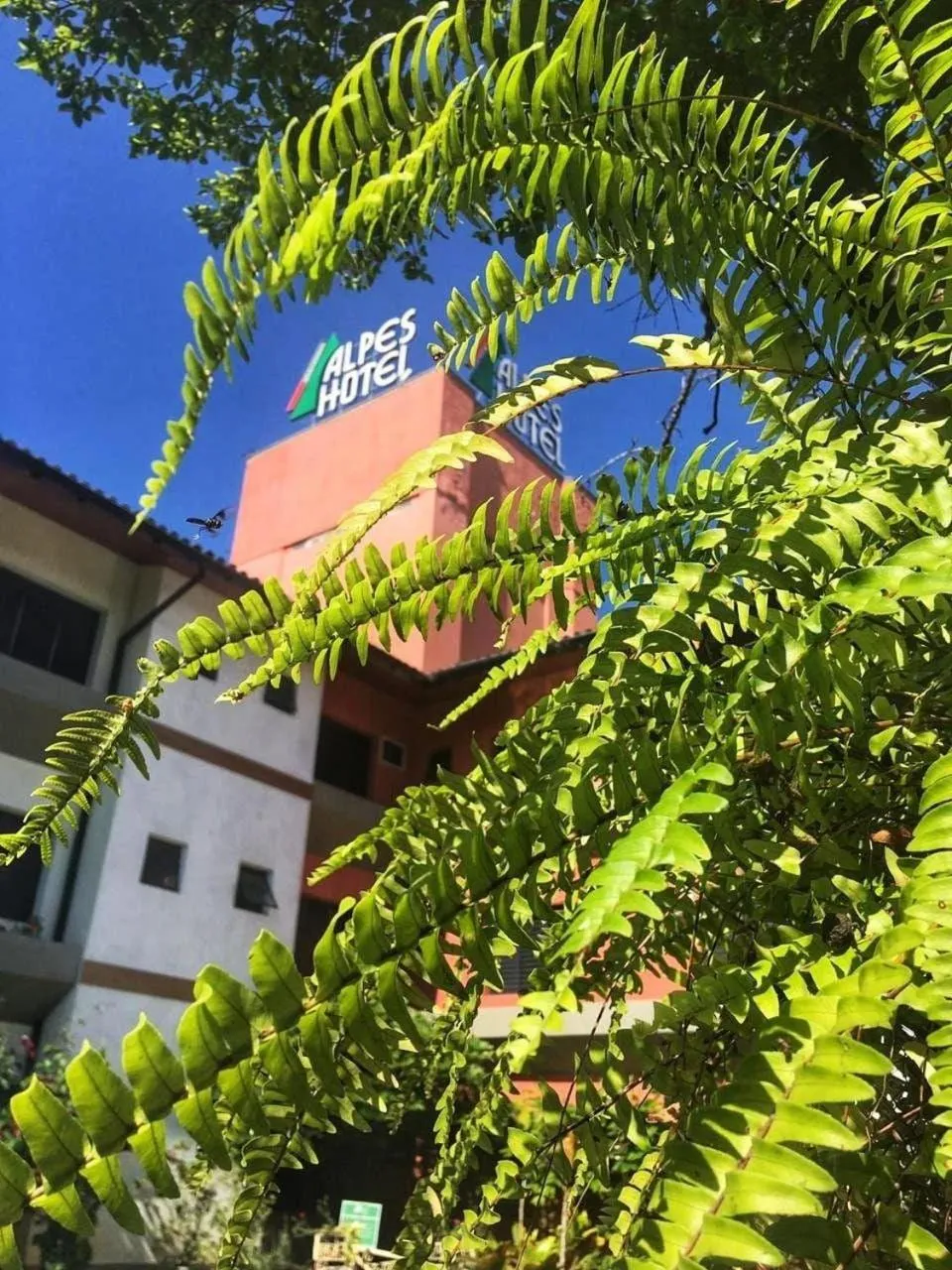 Garden view in Alpes Hotel