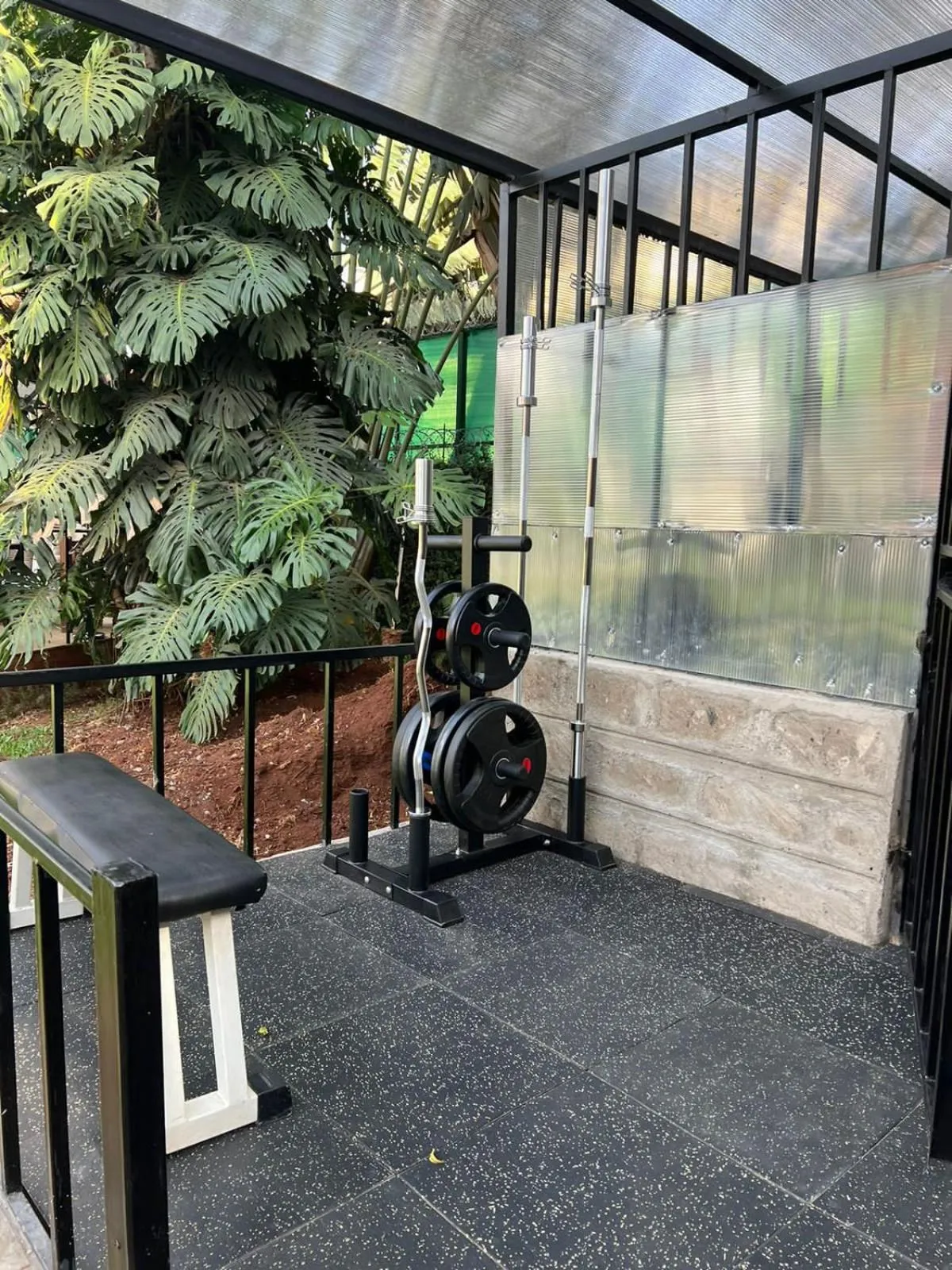 Fitness centre/facilities in Cozy Stead