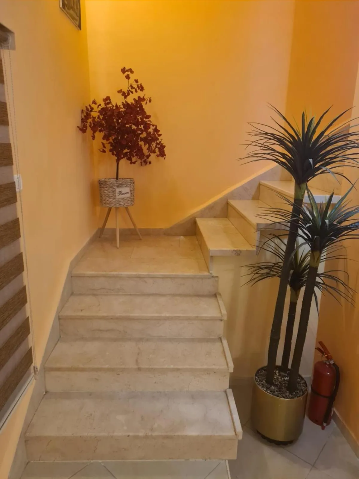 Property building in Seedi Yousef Hostel & Cafe